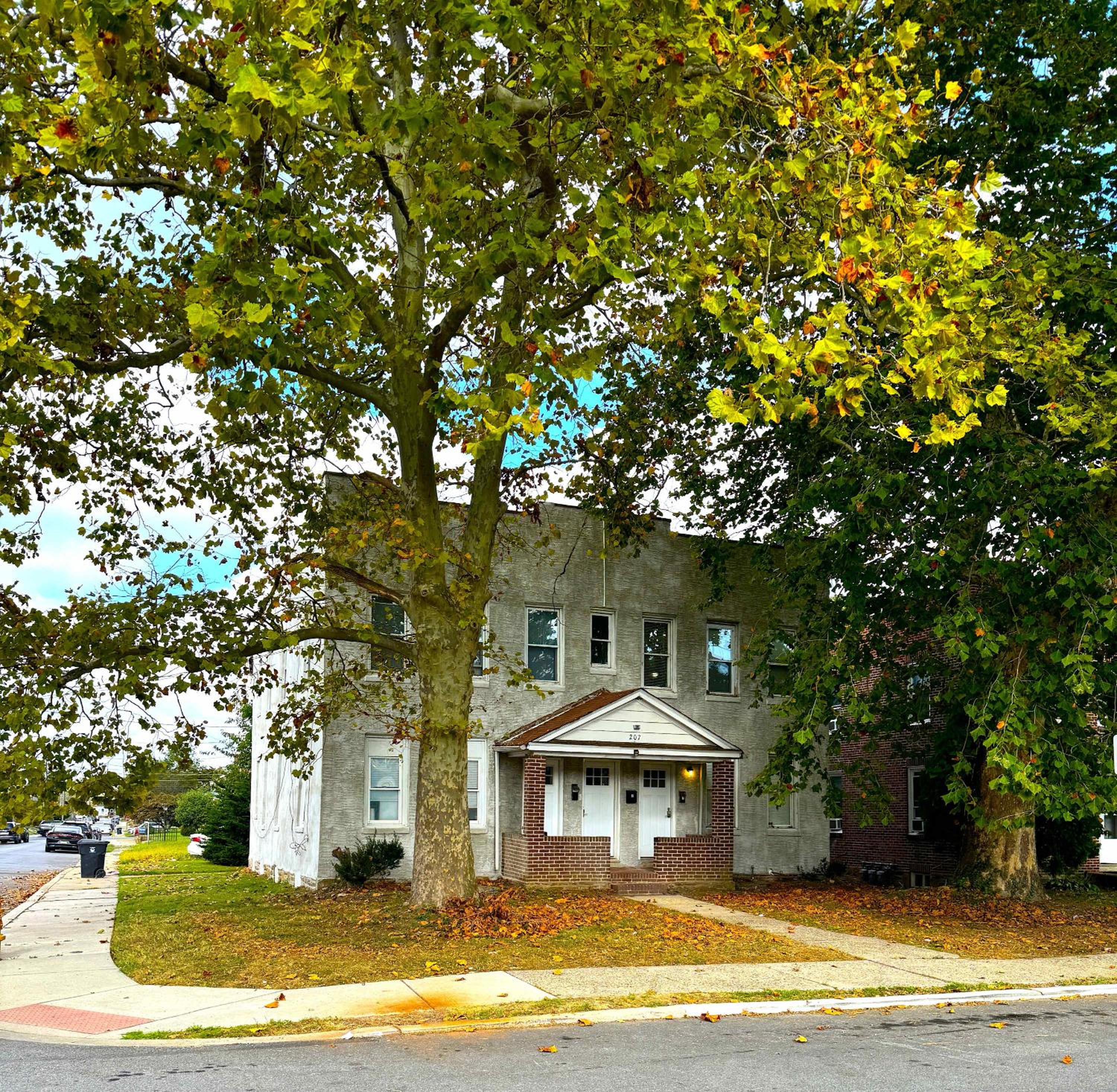 Photo 23
