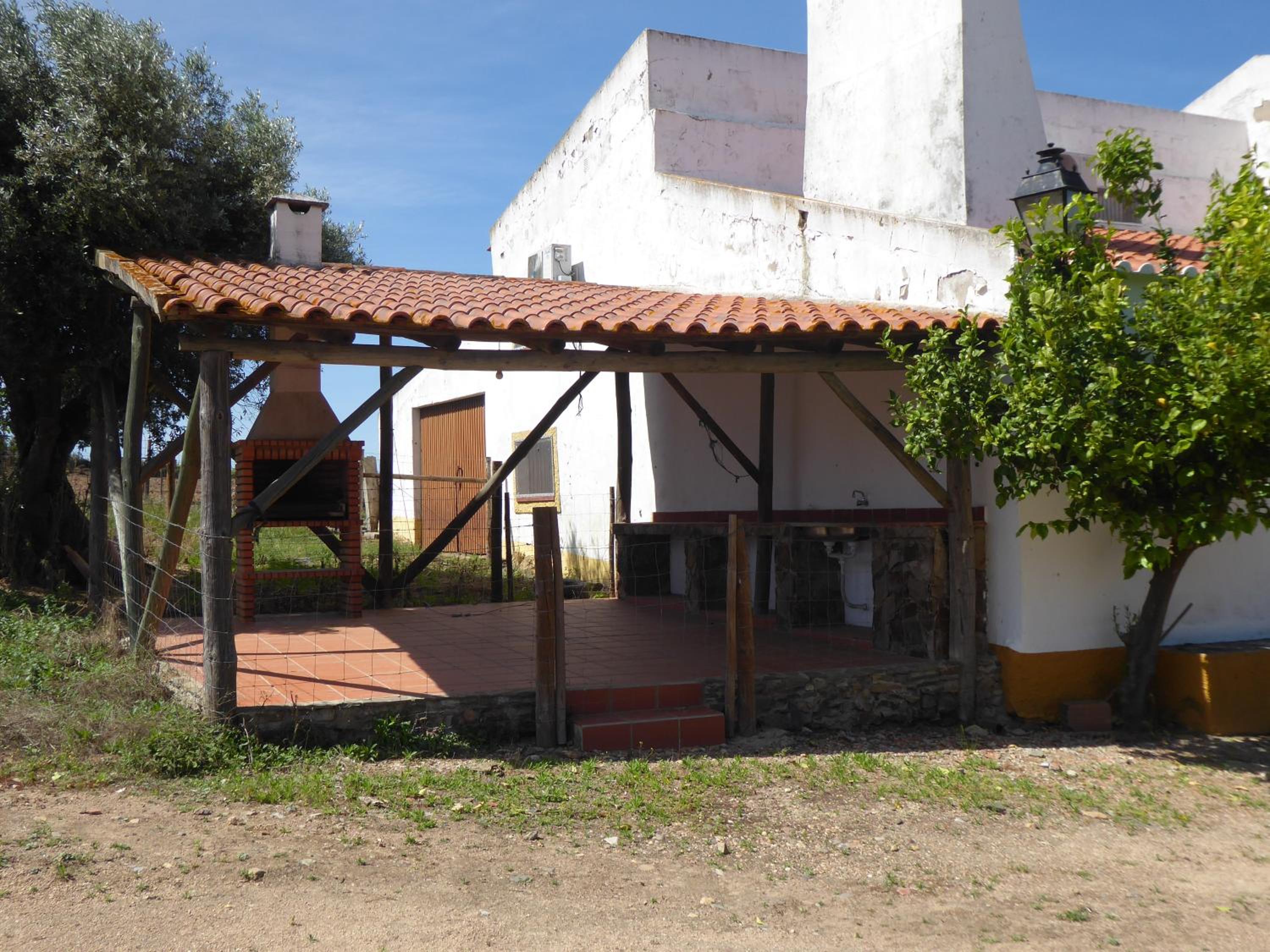 Photo 43