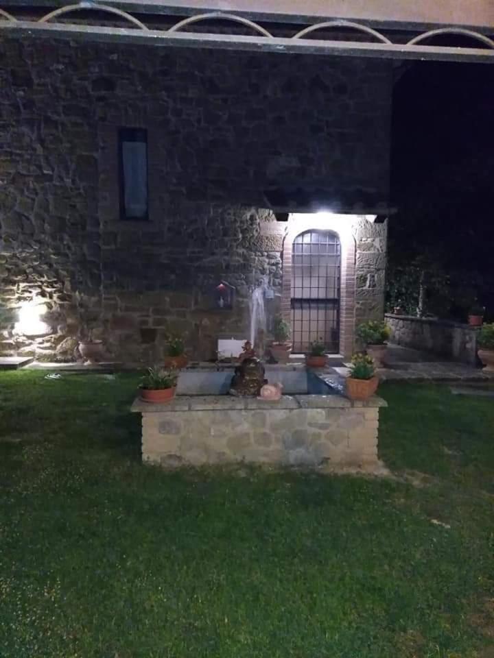 Photo 31