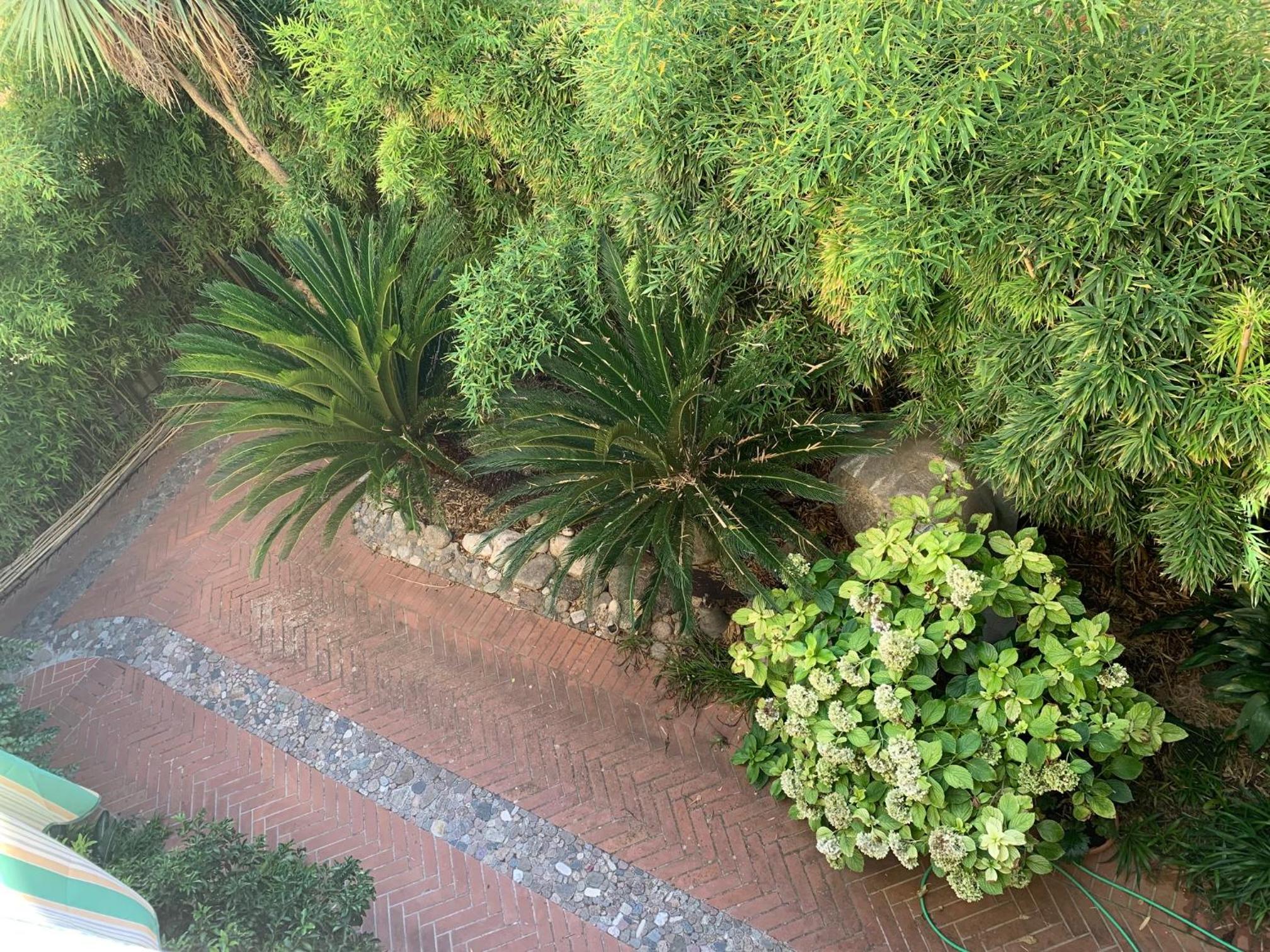 Il giardino segreto