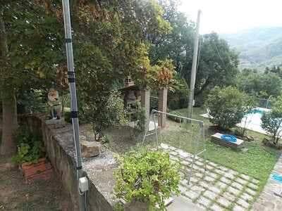 Photo 51