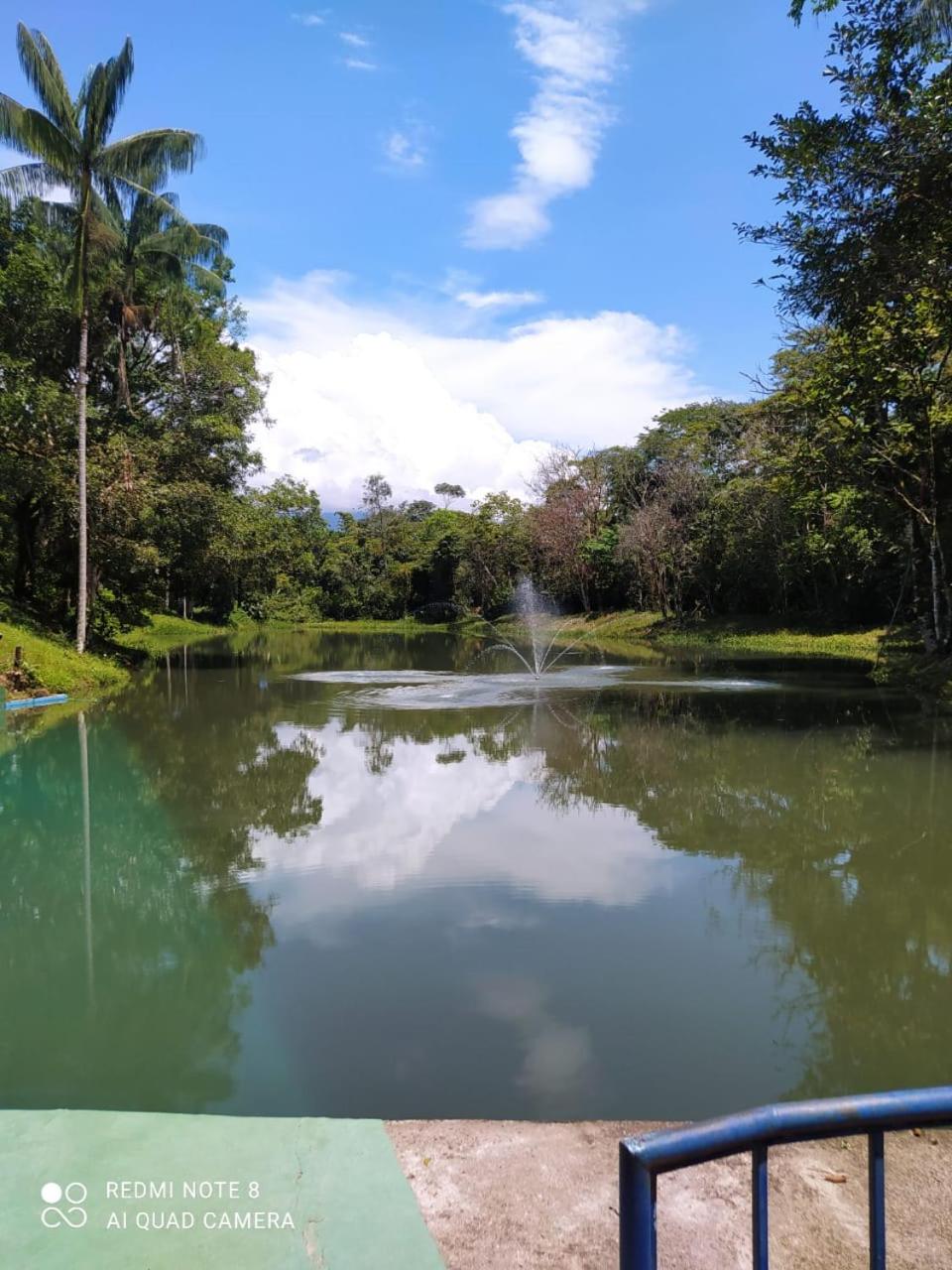 Finca San Pedro