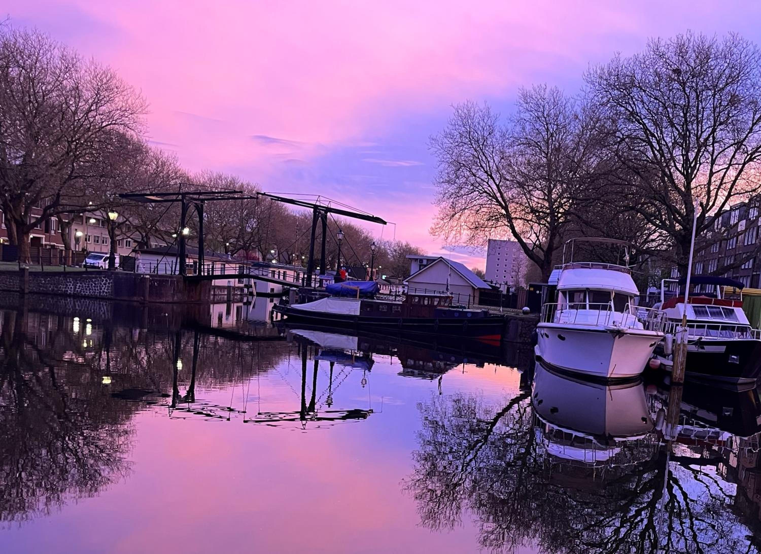Willemsbrug Vista