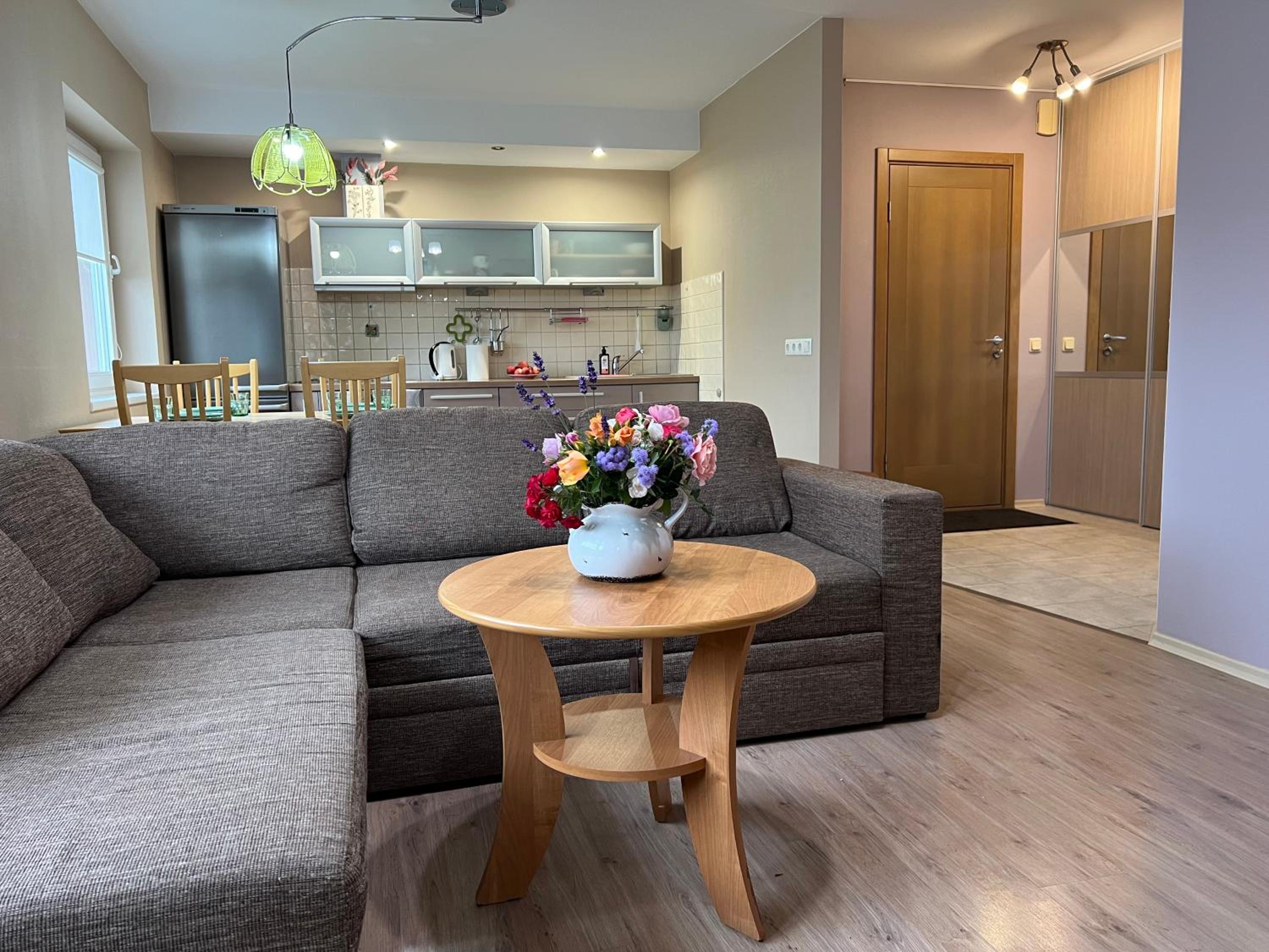 Visit Sigulda apartment self check-in view 2
