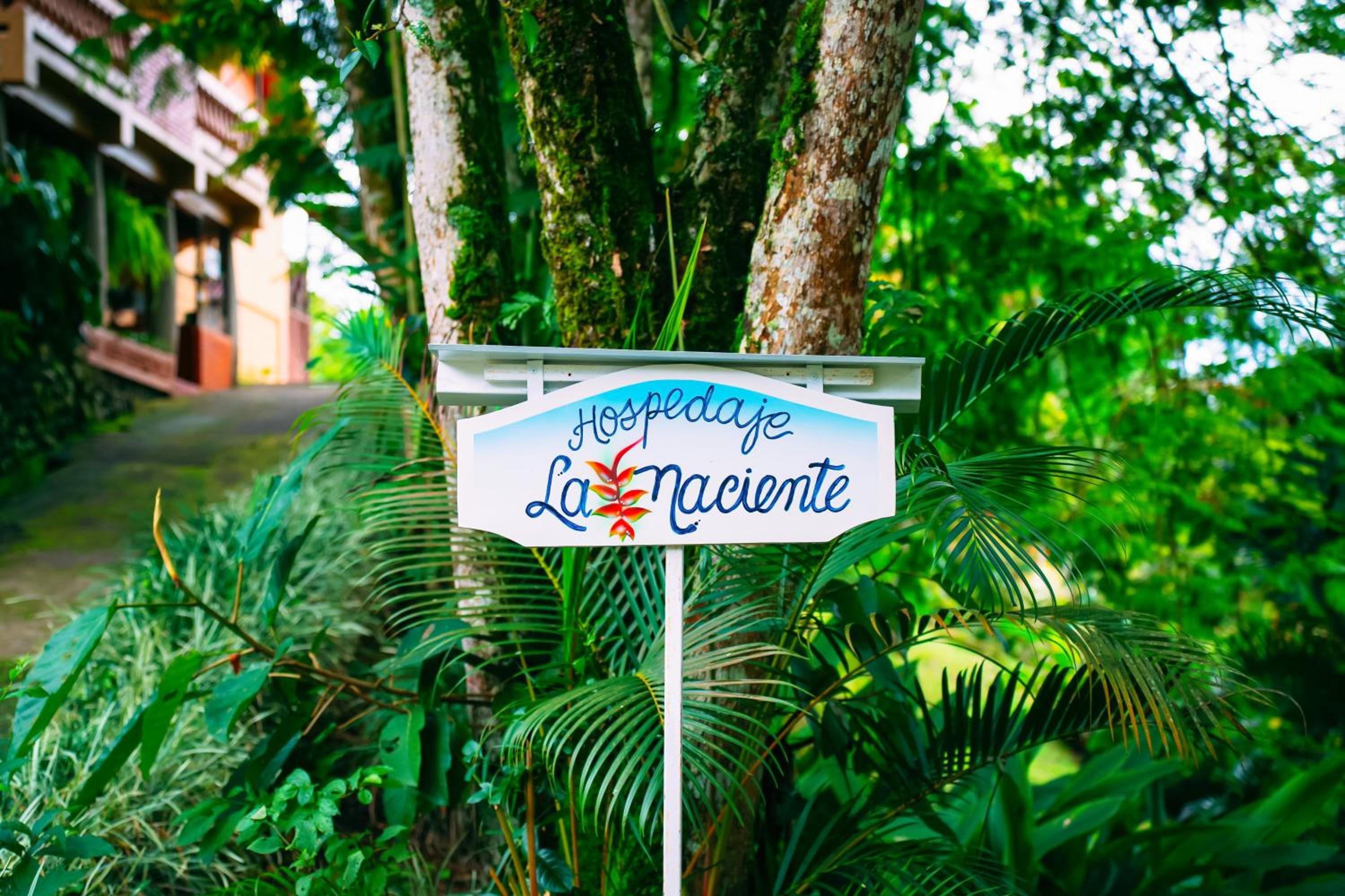 Hospedaje La Naciente