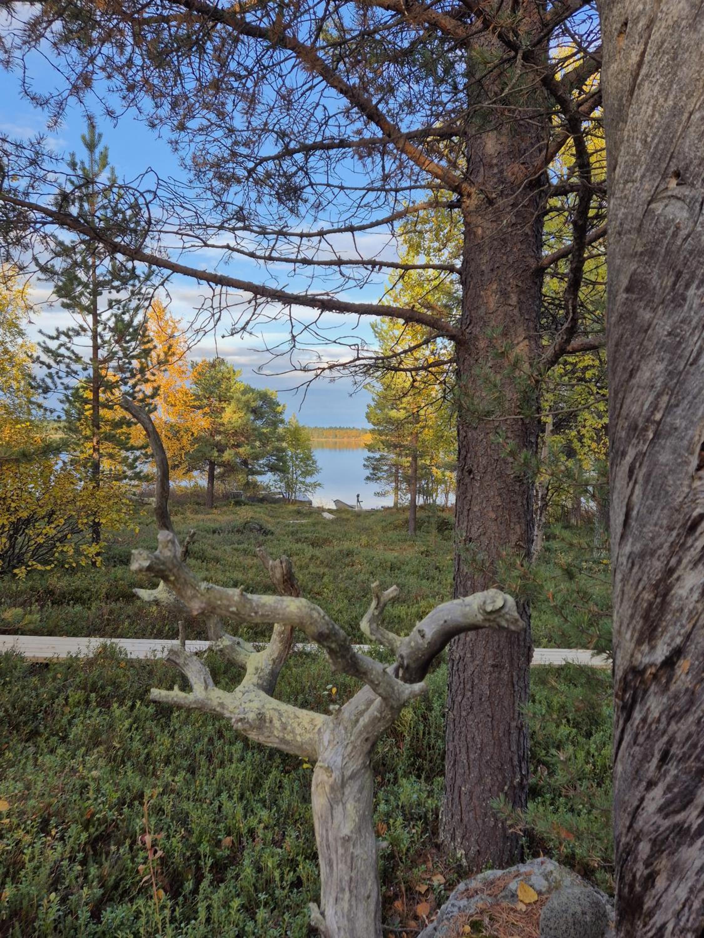 Hillavilla in the shore of lake Inari
