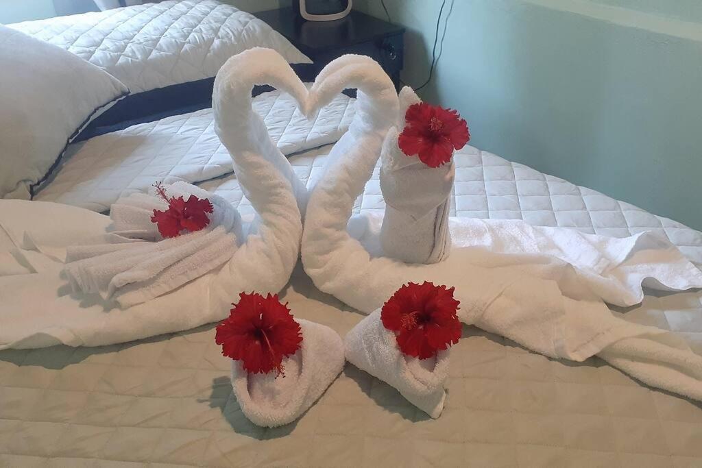 Angel Bee Lodge