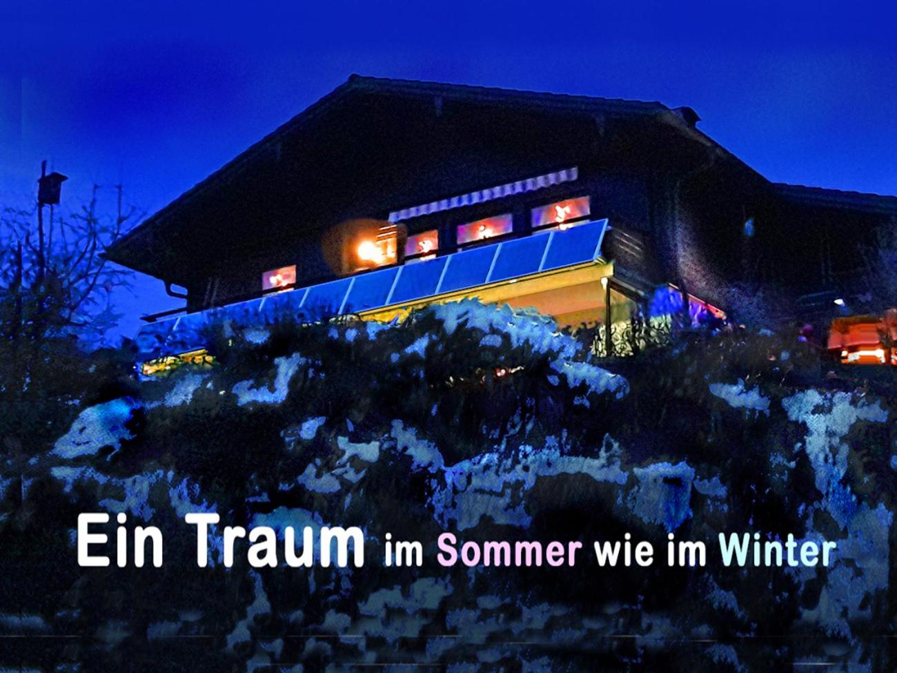 BayerischerWald-Ferien-Blockhaus-Panoramablick-Grafenau Haus im Wald-Vogelthenne 19, fast Alleinlage-ILZtal-Blick nähe Rothauer, Saldenburger, Ebenreuther 