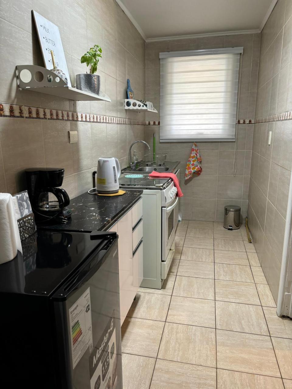 Departamento Carrera Pinto