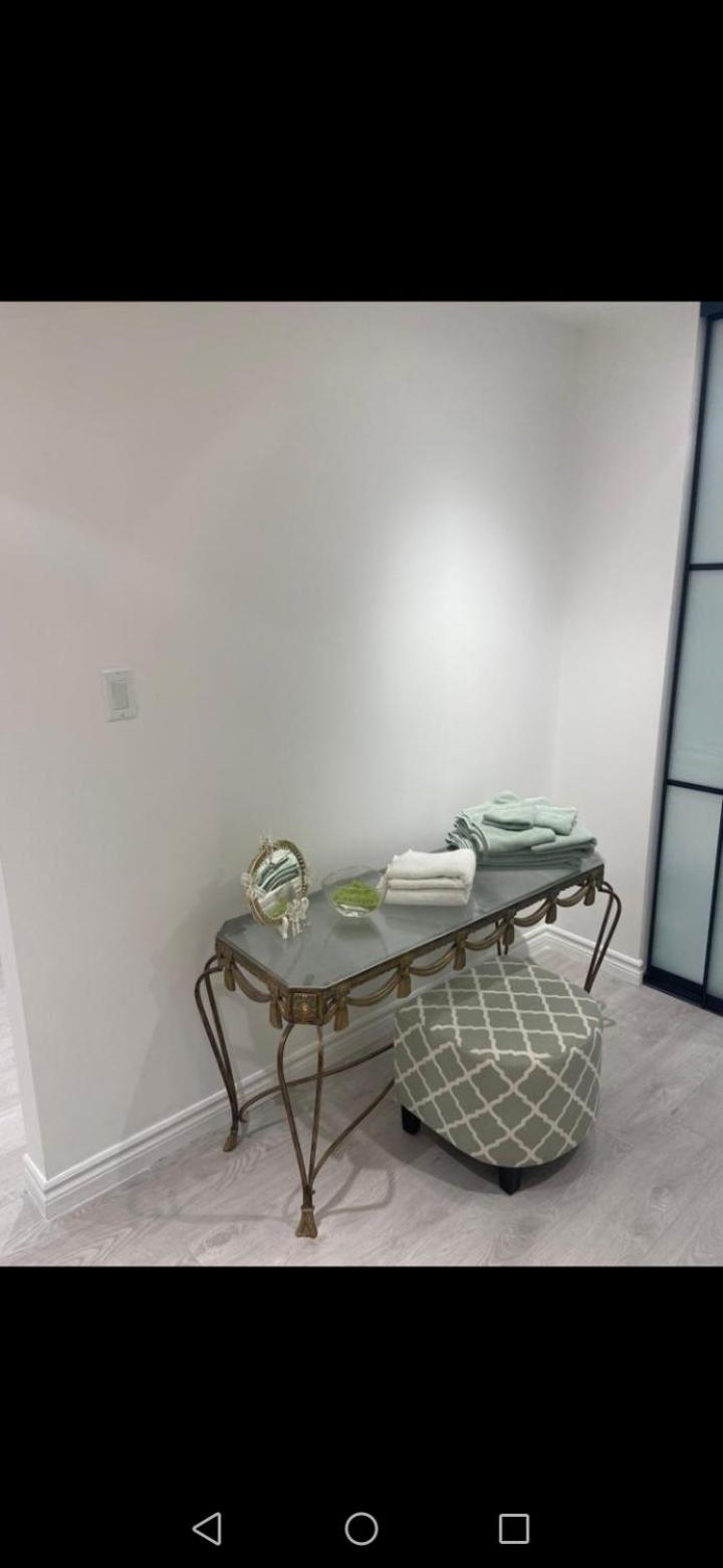 New modern basement in Milton