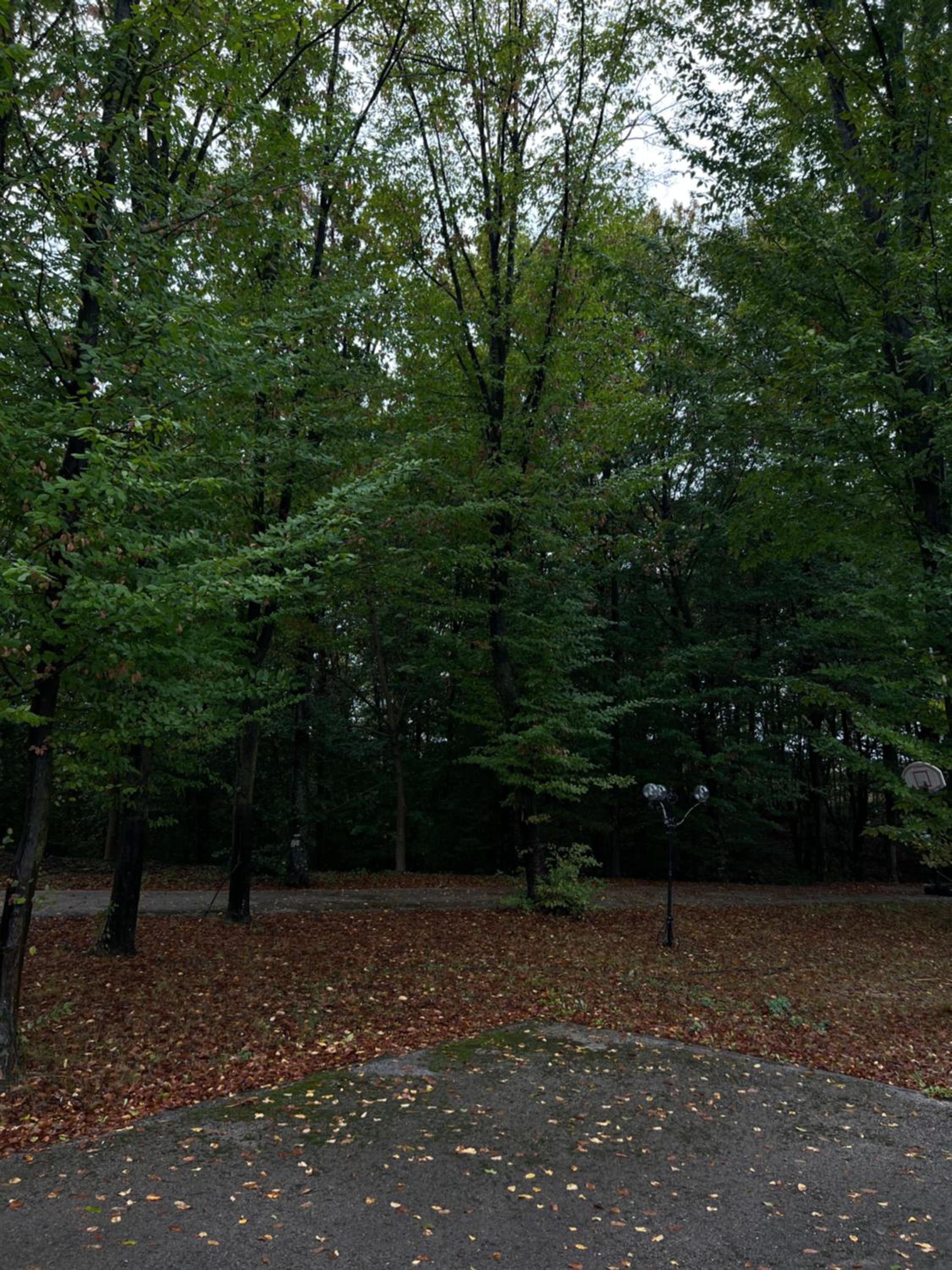 Jovanova villa