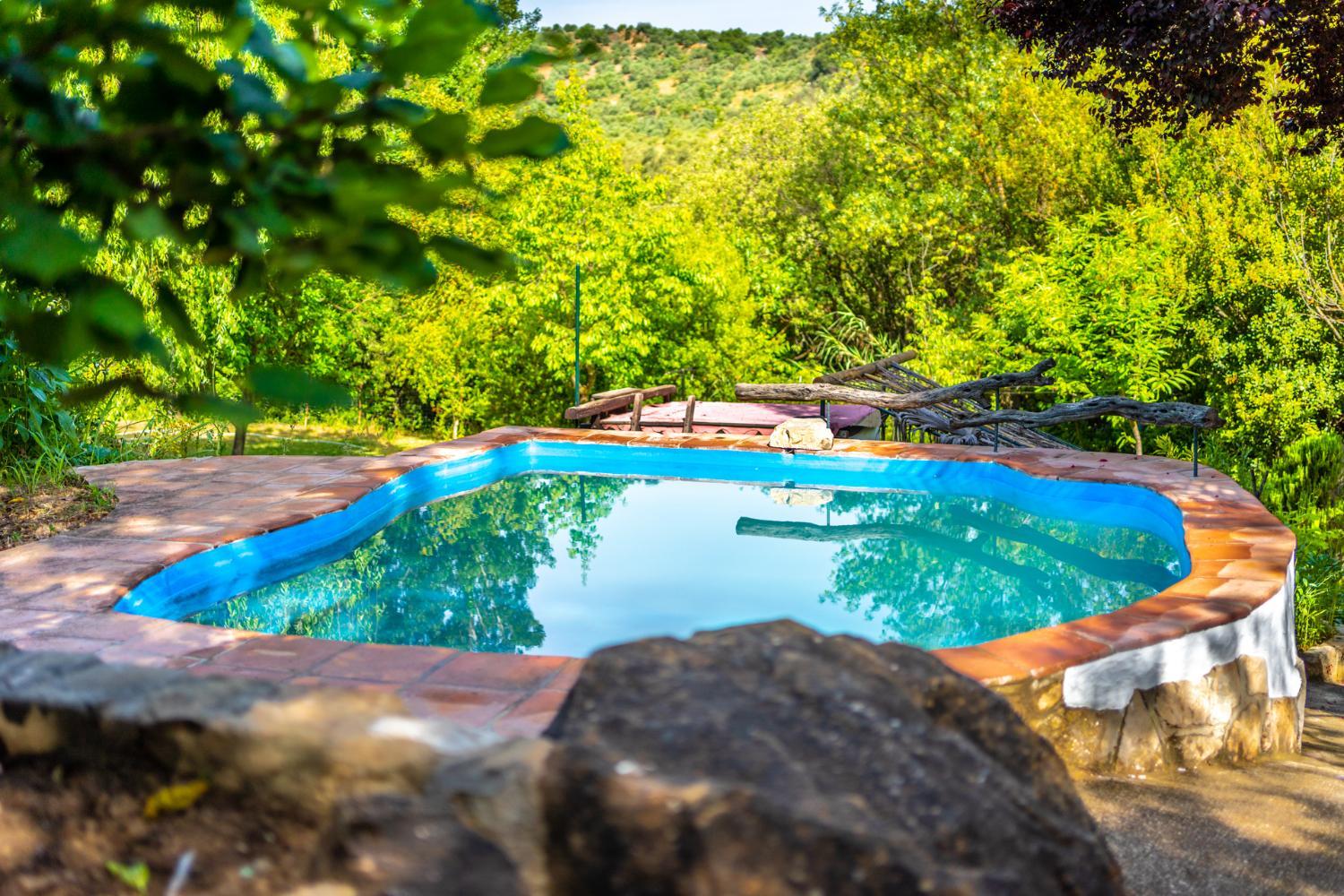 Cinco Lunas VEGETARIAN Guesthouse