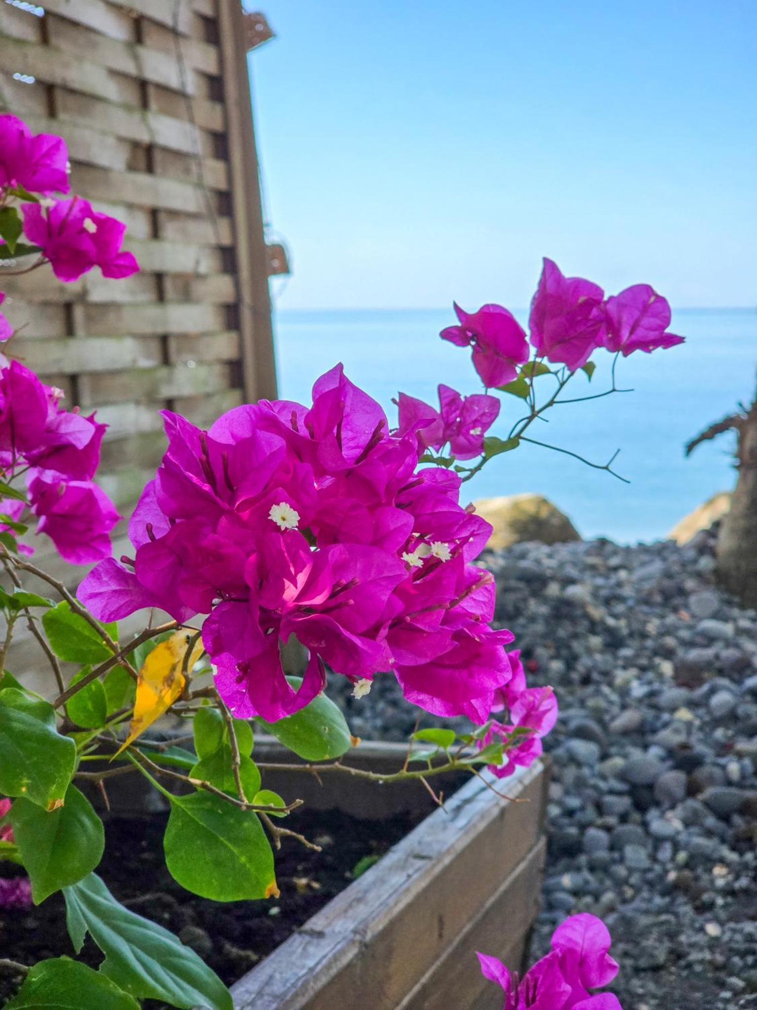 Villa Ti Kay Paradi - Accès plage direct