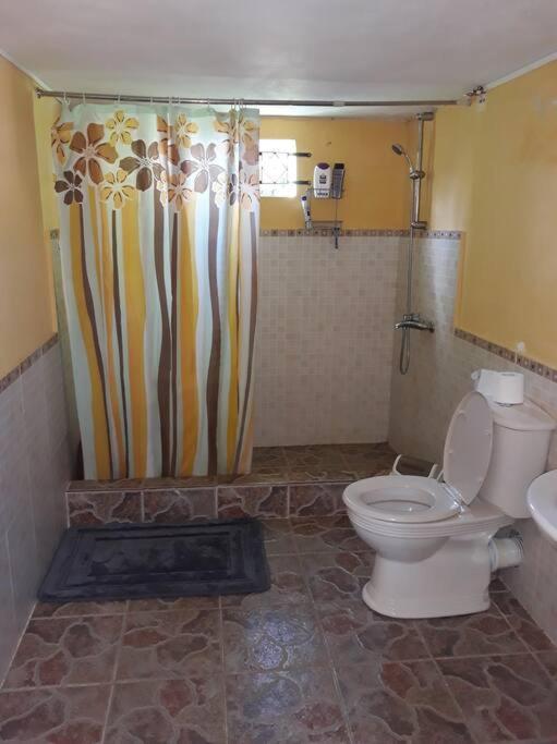 Appartement chaleureux, vélo à disposition