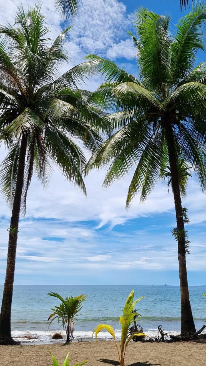 Casa Coral