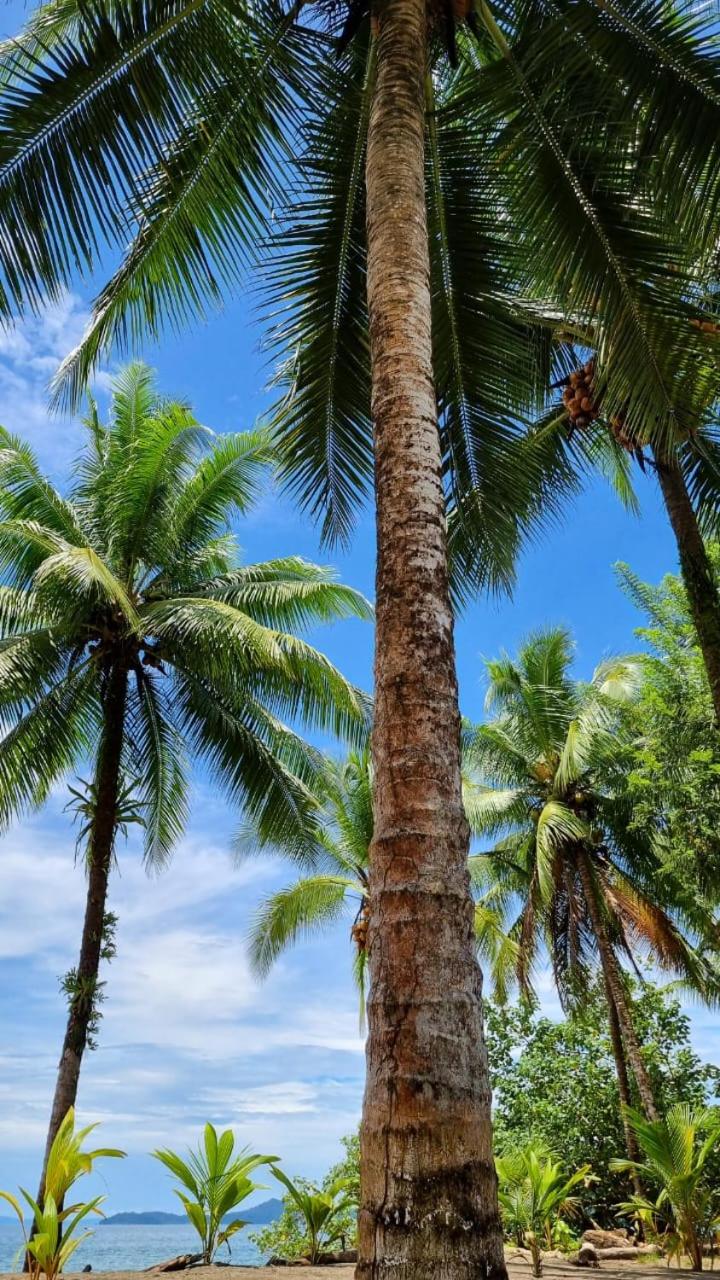 Casa Coral