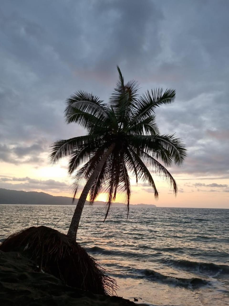 Casa Coral
