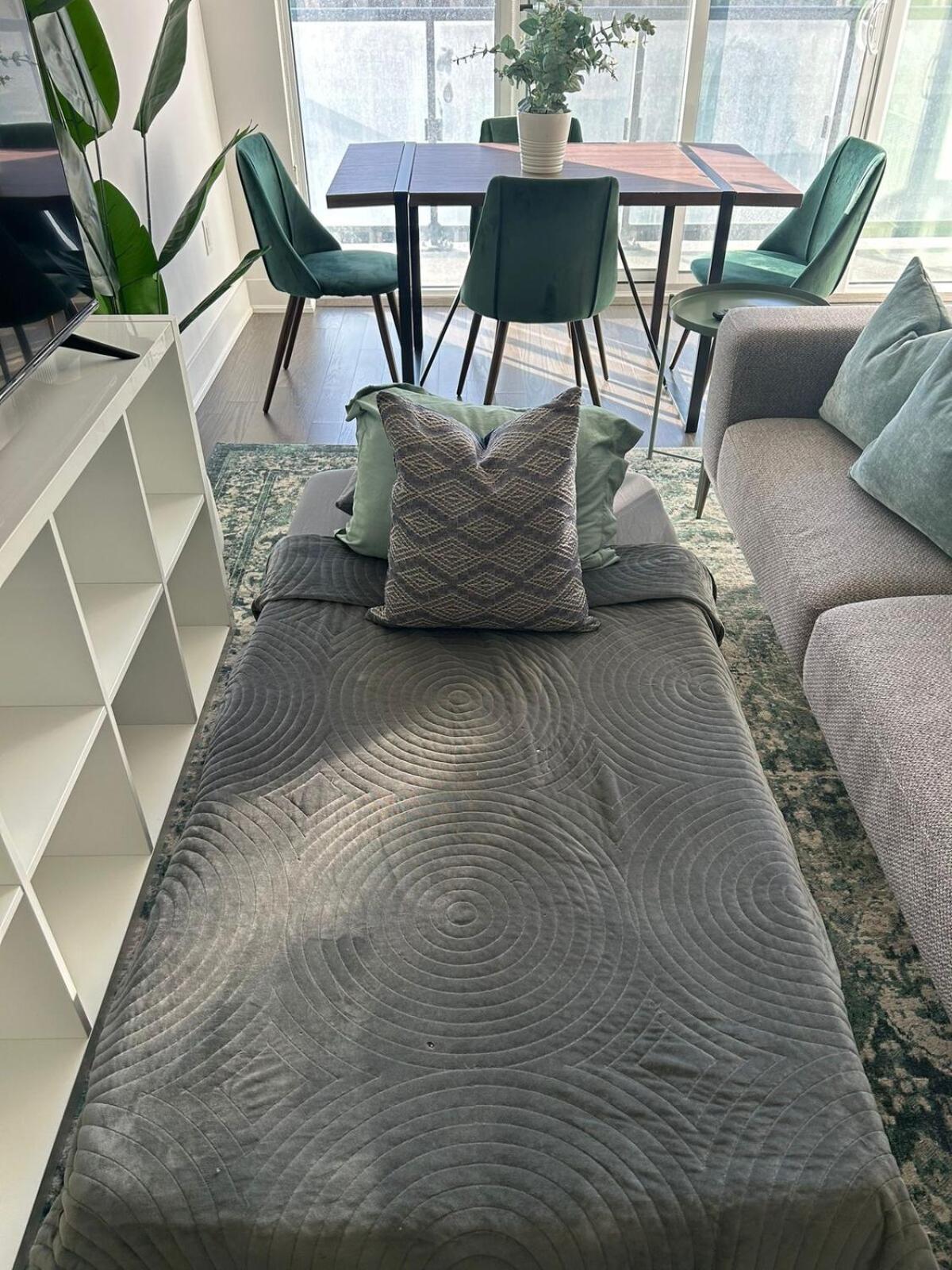 Spacious and Central 1BR in Heart of Downtown