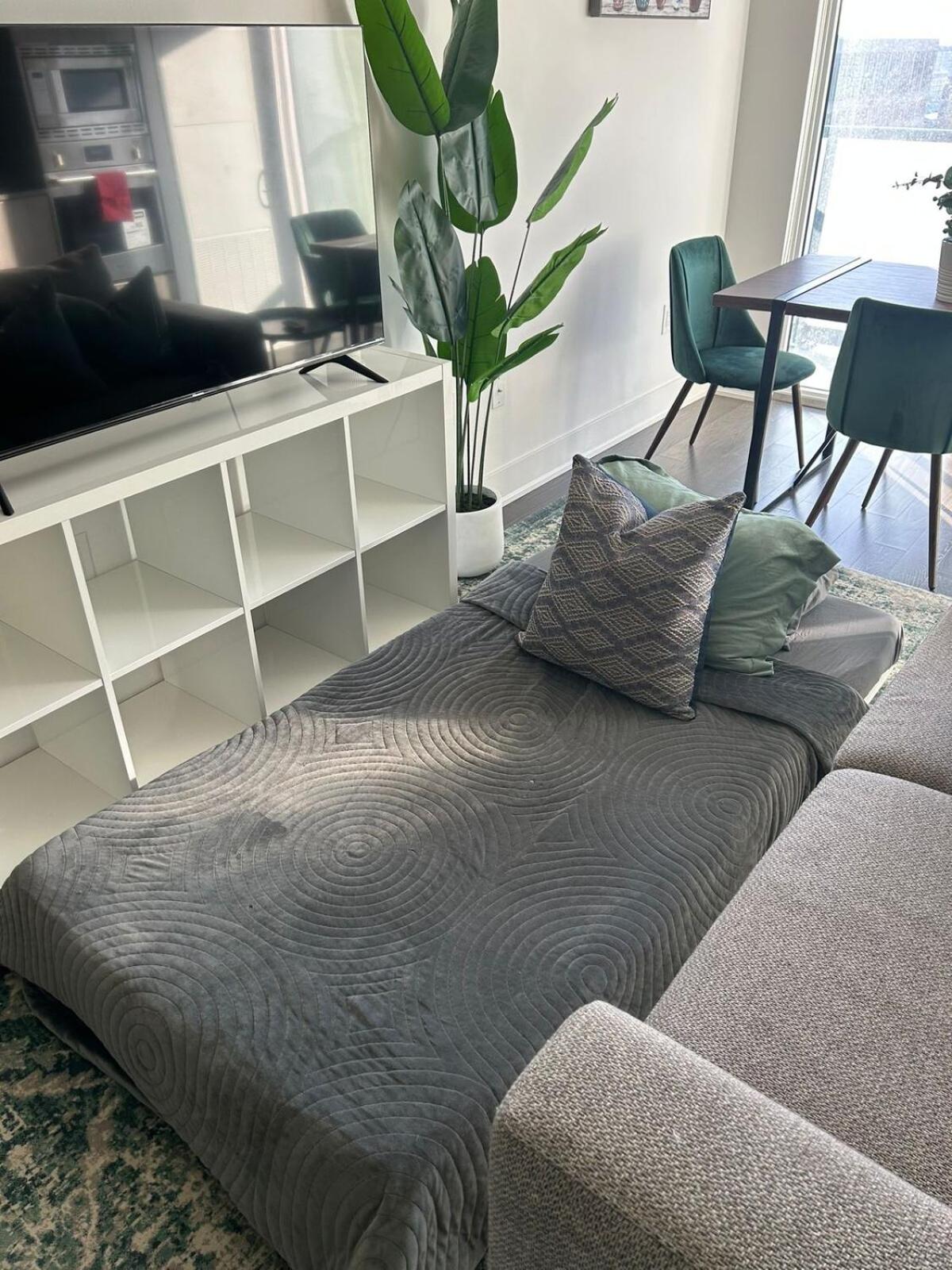 Spacious and Central 1BR in Heart of Downtown