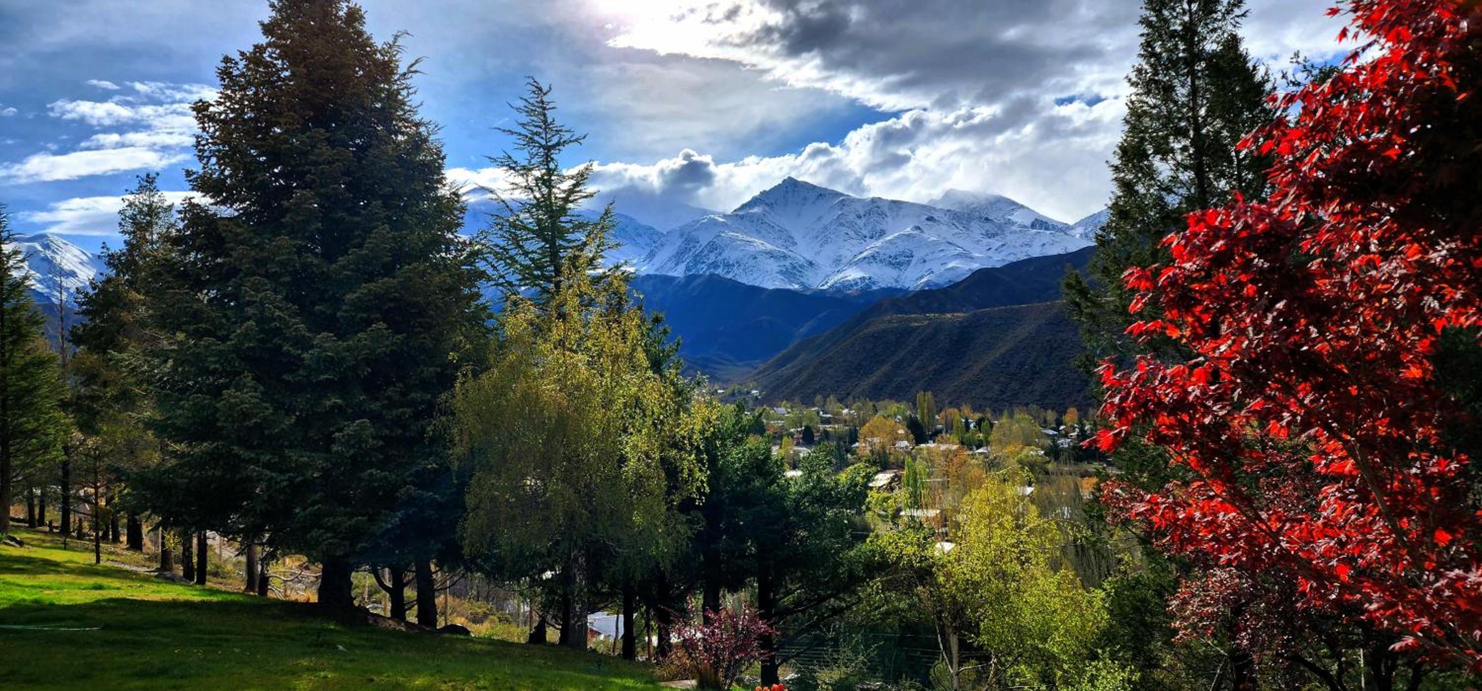 Cabaña MONTE AZUL
