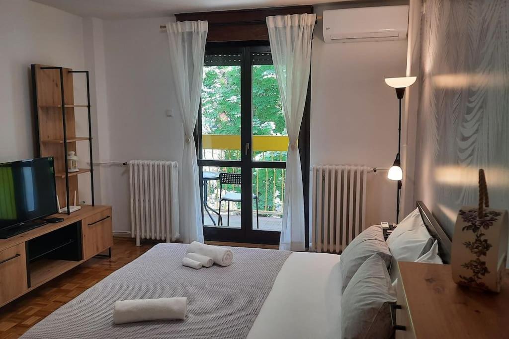 Apartman za dvoje u srcu Novog Sada view 2