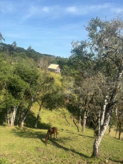 Chalé Romantico a 20km de Curitiba com banheira