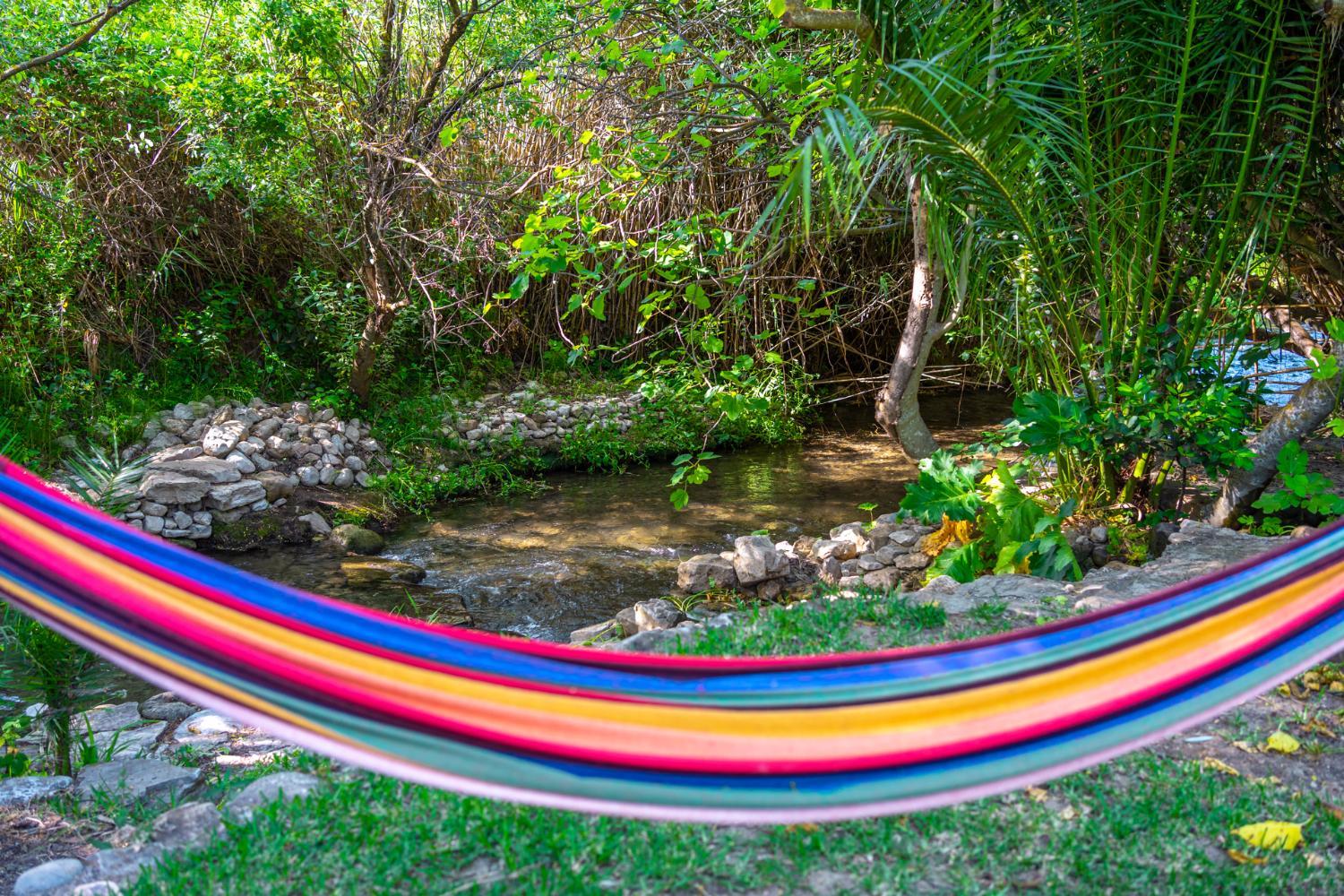 Cinco Lunas VEGETARIAN Guesthouse
