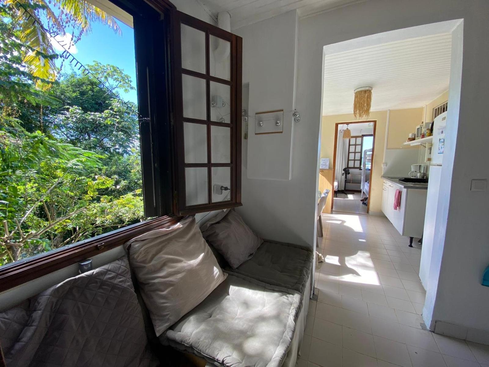 Top Hill Hostel- Martinique- auberge dortoir view 2