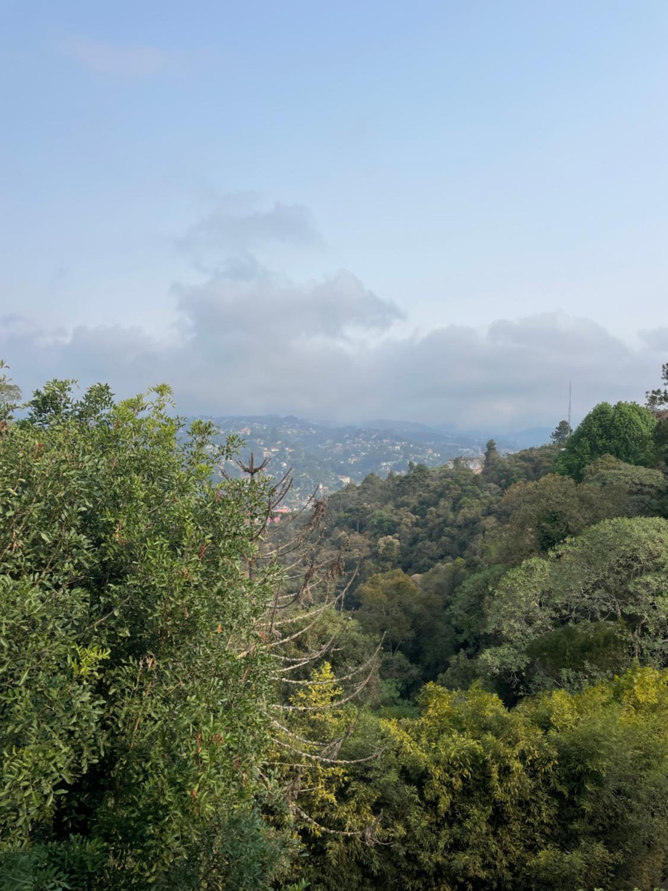 Villa Panorama