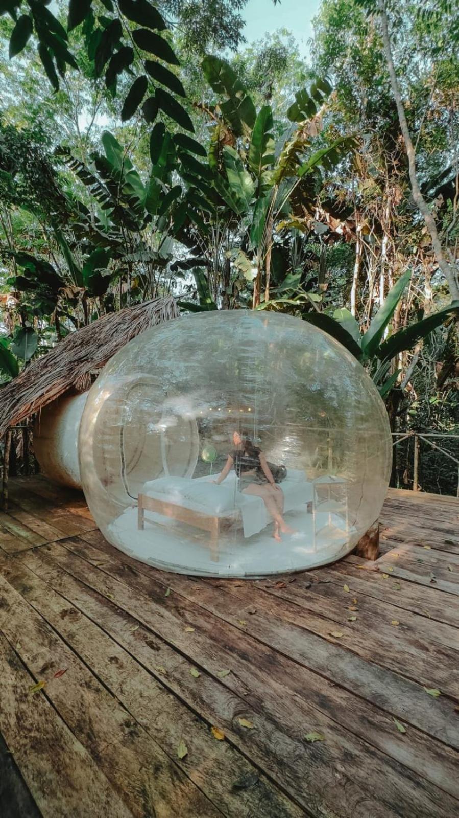 Glamping Amazonas view 5