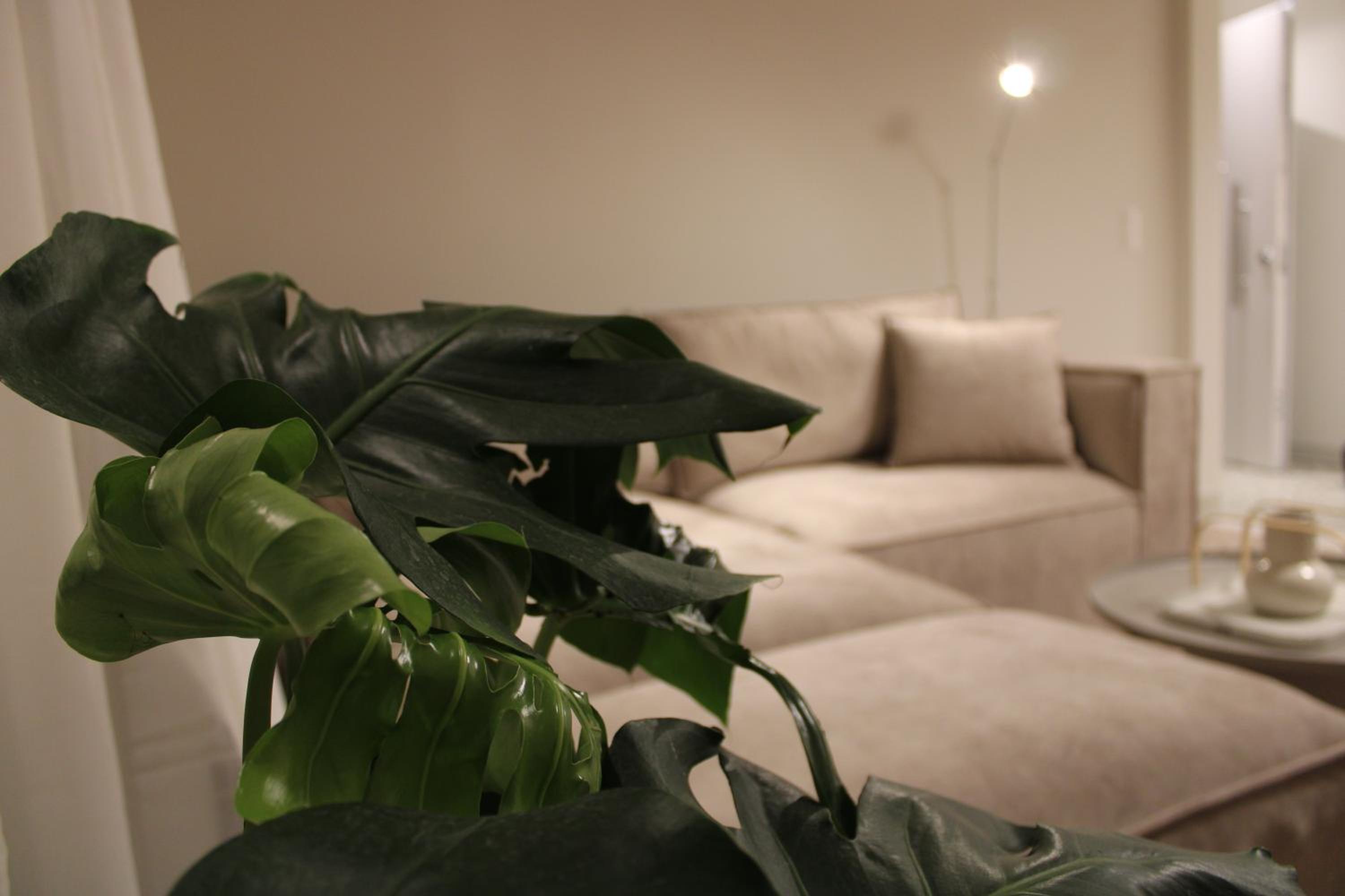 Aegis Filoppapou suites - Somon