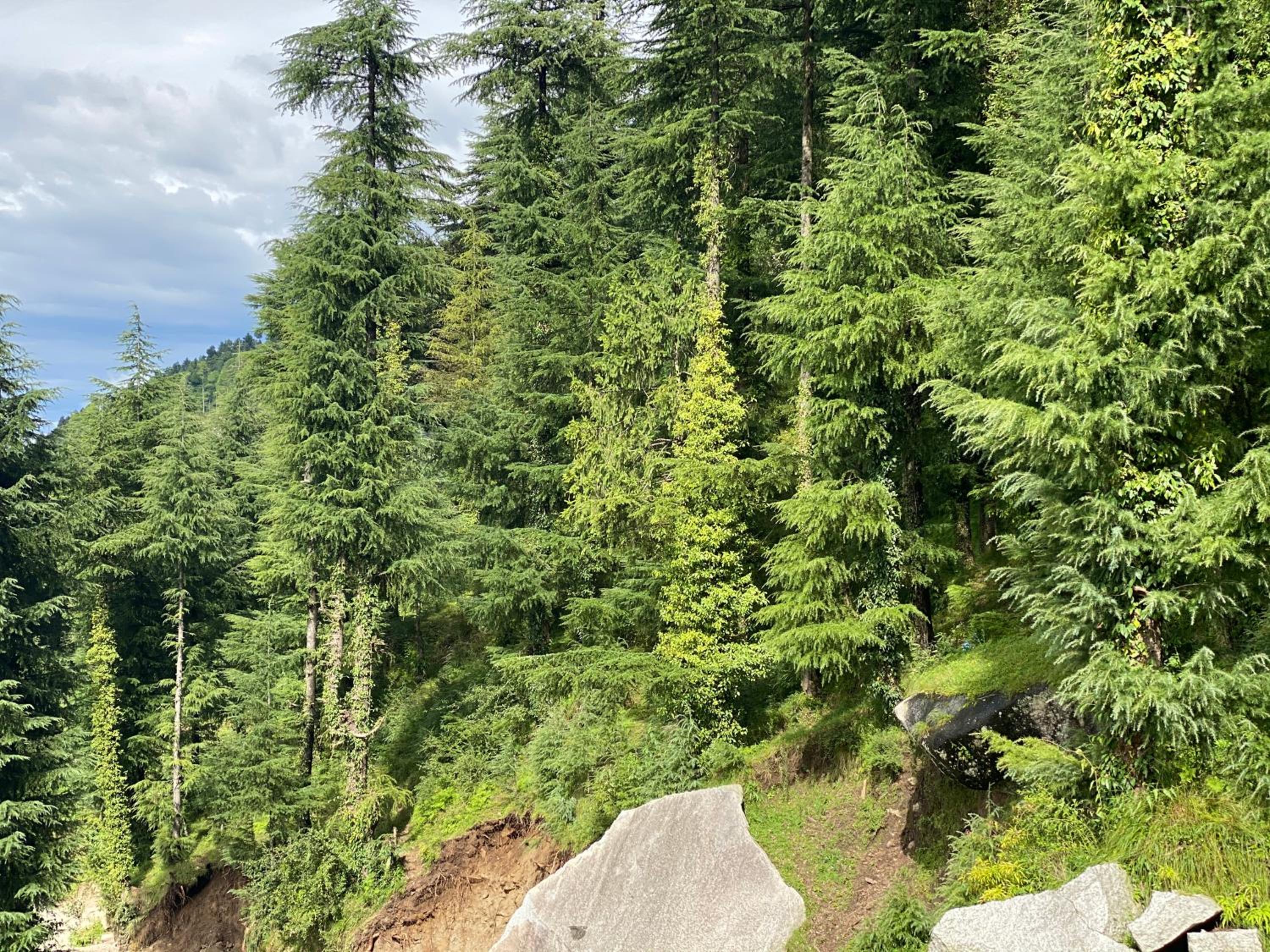 Aditya Homestay Dalhousie view 4