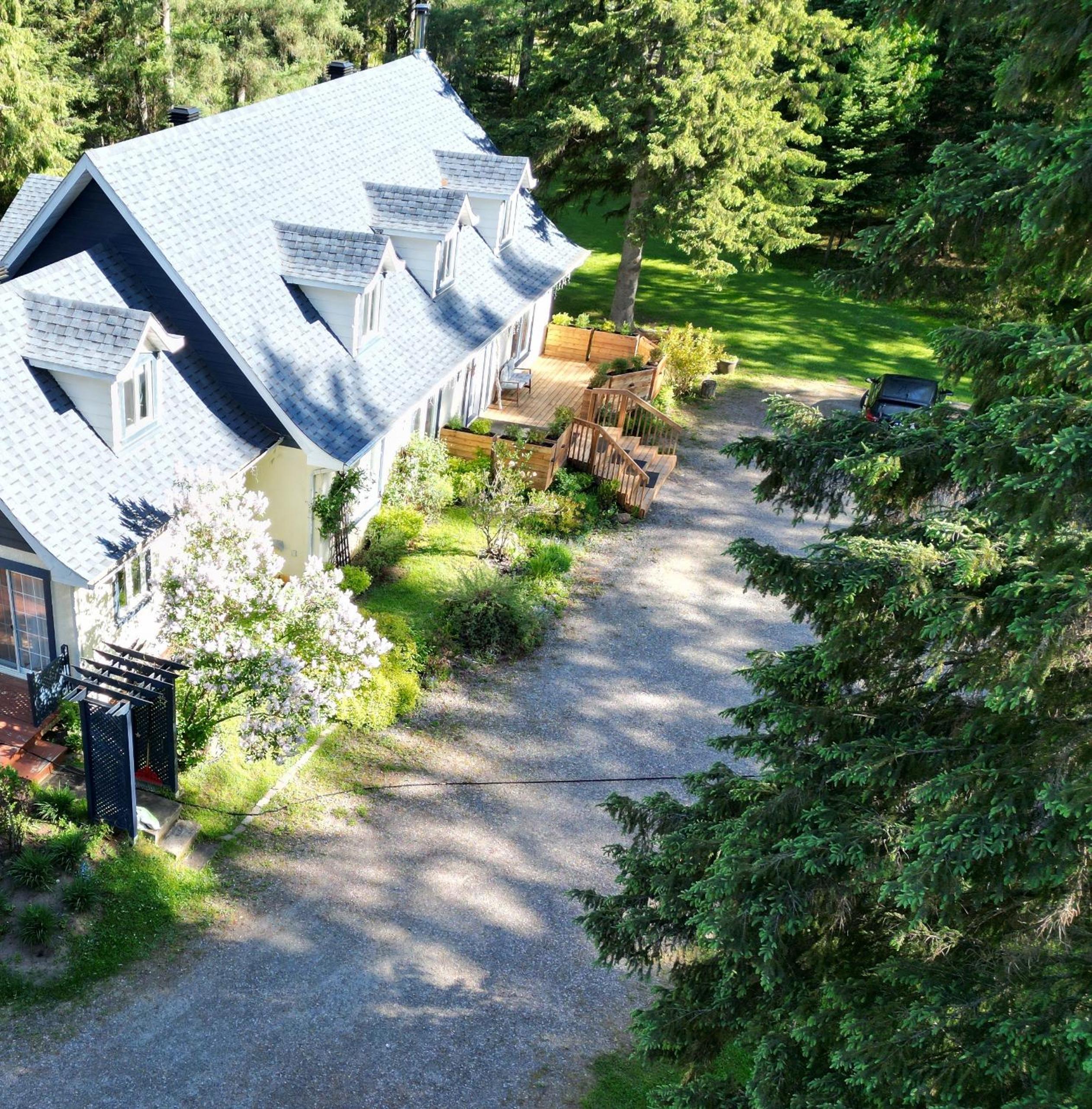 La Tremblante - Image 4