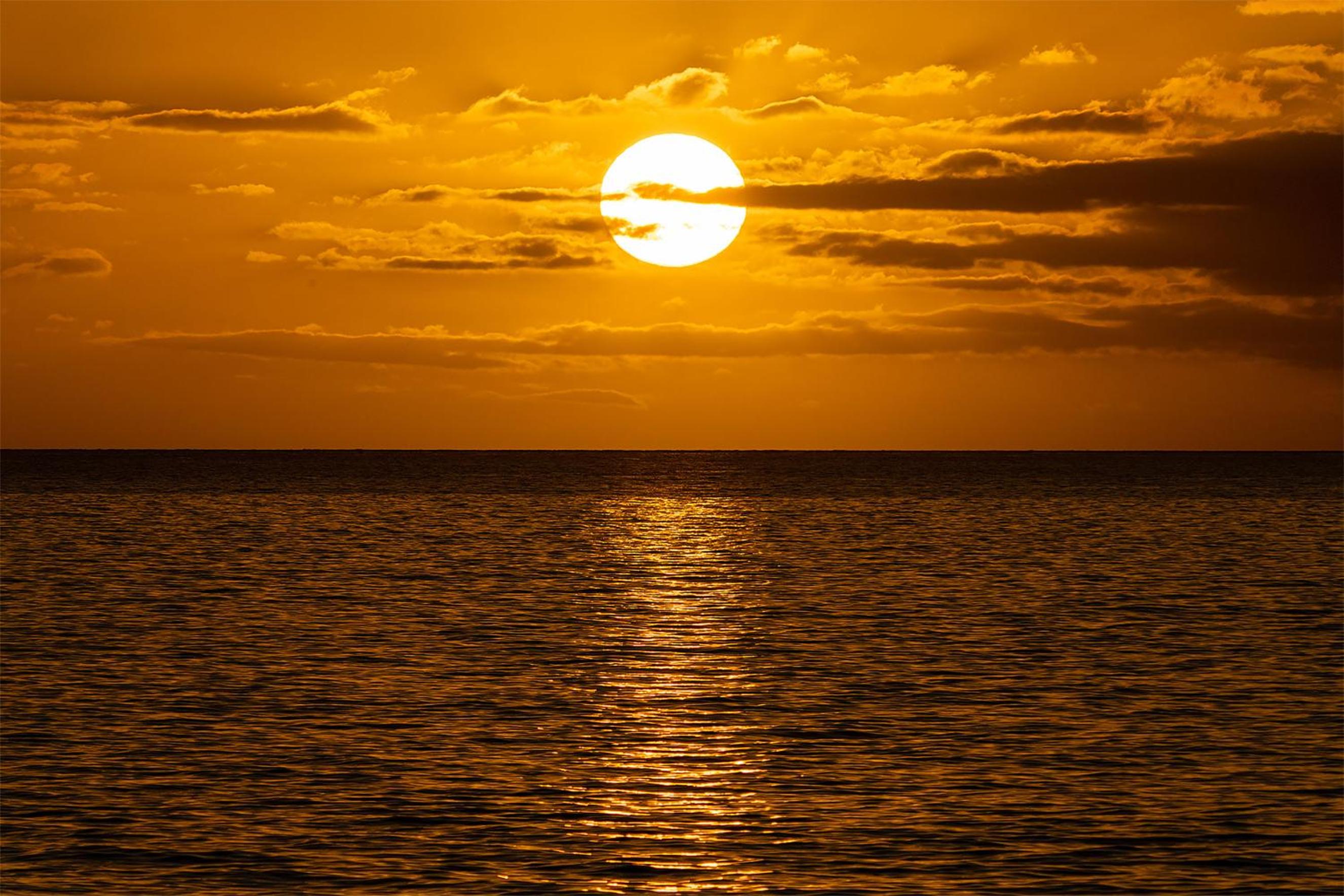 Menehune Shores 606 - Direct Ocean Front, Split AC