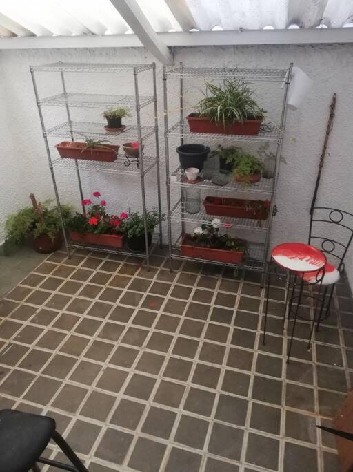 apartamento boutique