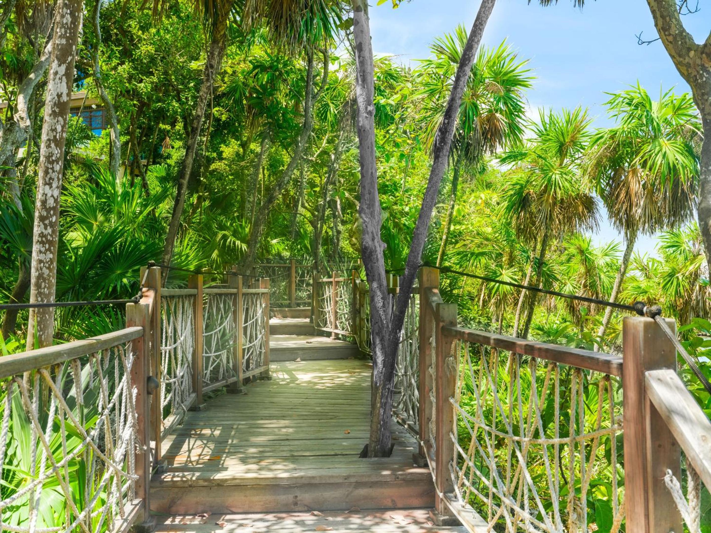 Kimpton - Grand Roatan Resort and Spa - Photo 279
