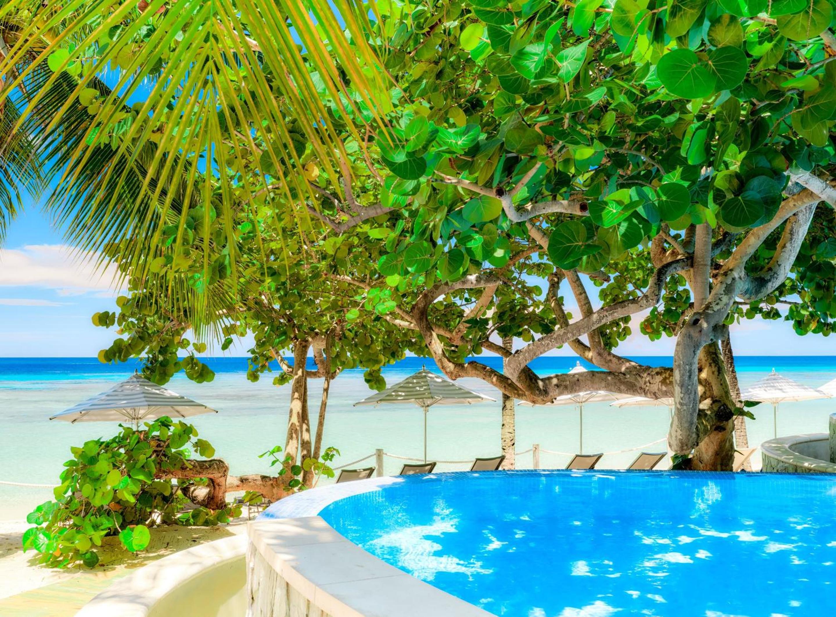 Kimpton - Grand Roatan Resort and Spa - Photo 285