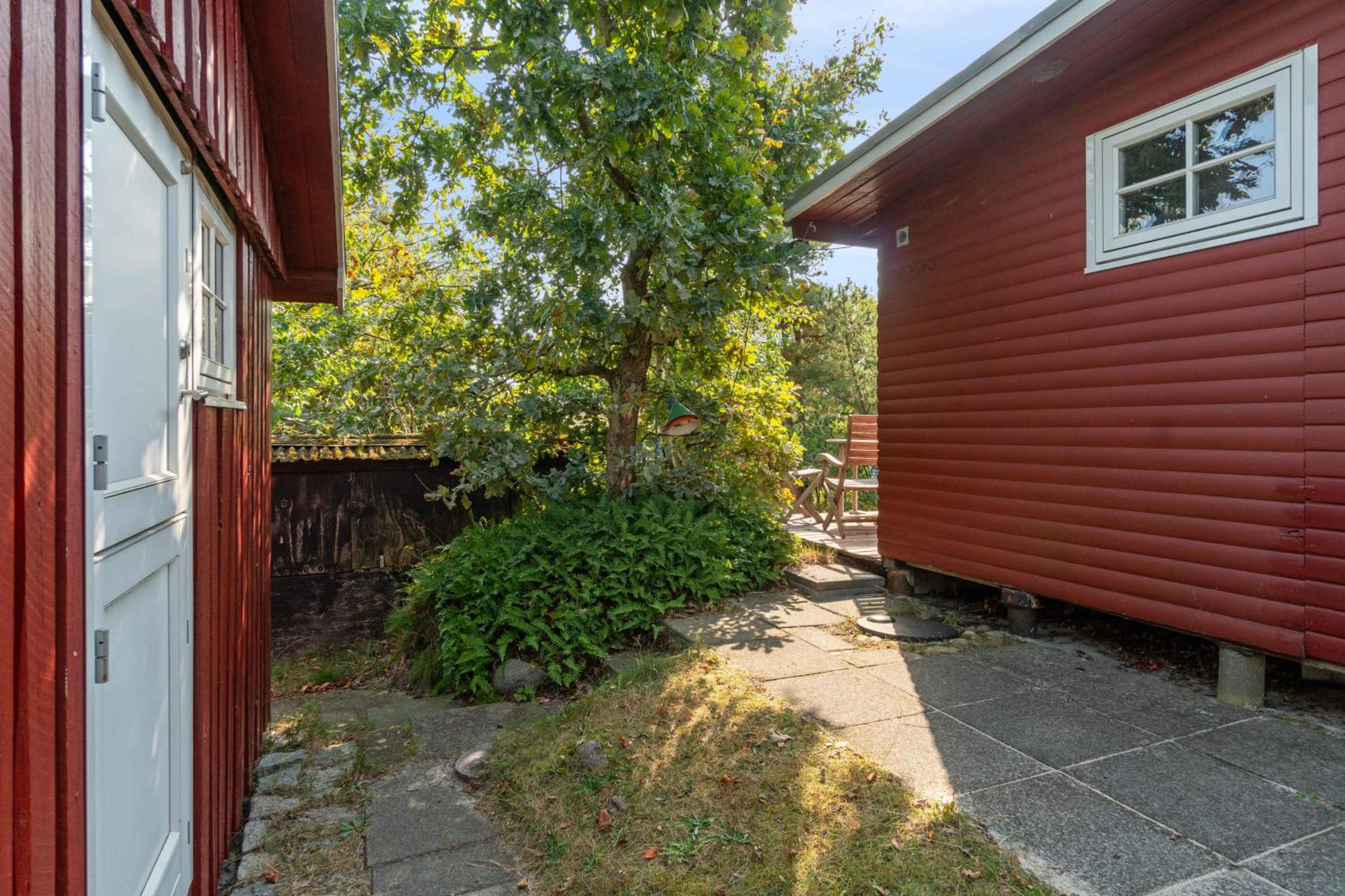 Photo 22