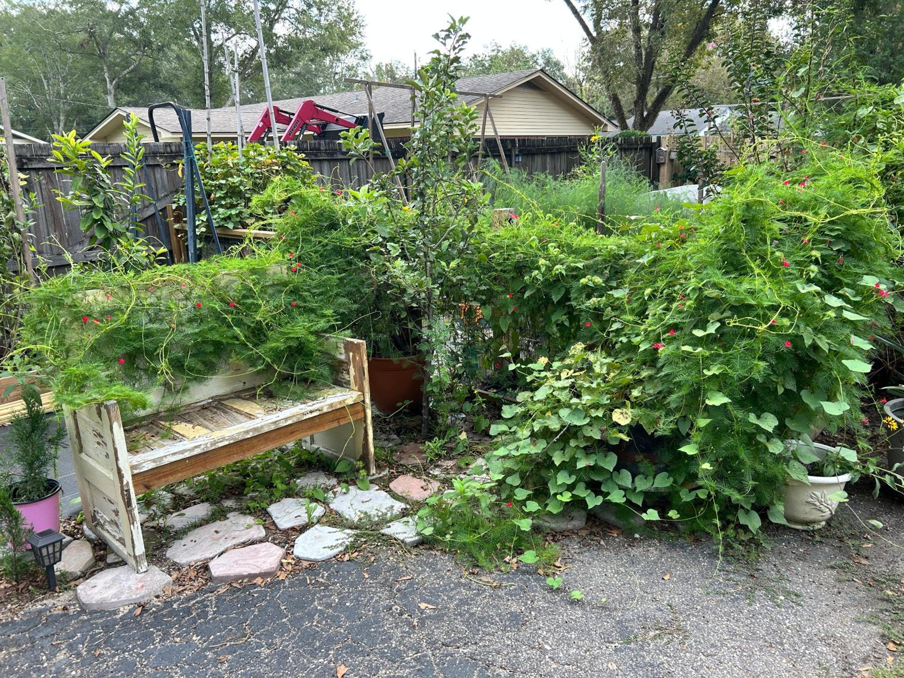 Laurel Vacations - Gingerbird Art Suite - Property Image 28