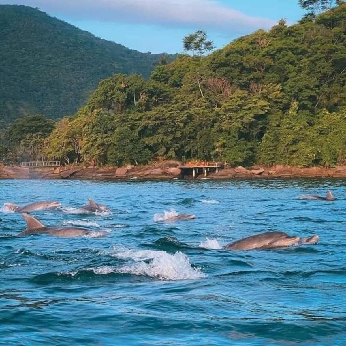 Pousada Ponta da Ilha, Ilha Grande, Angra dos Reis