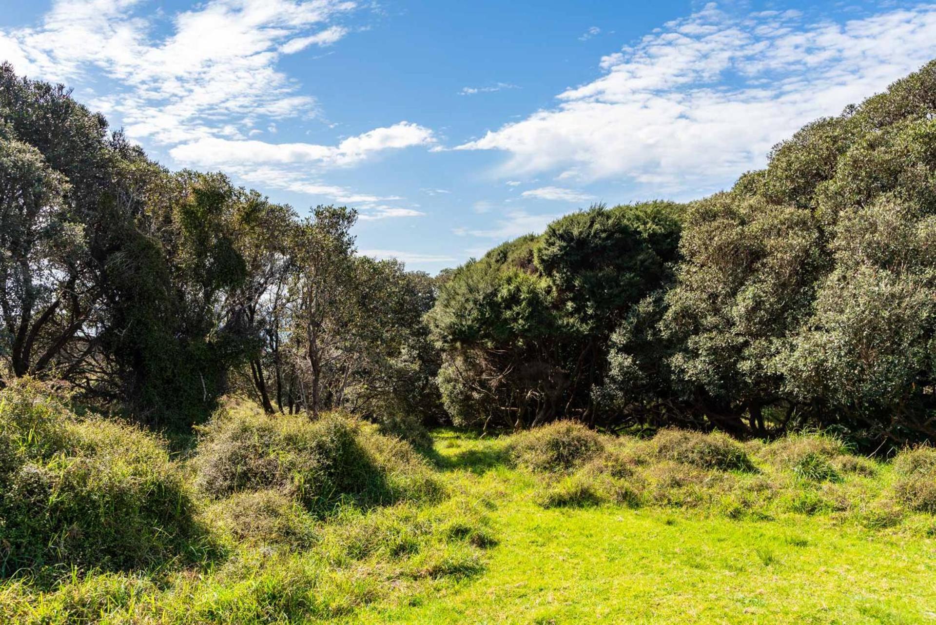 Seaview and Pohutukawa - Pakiri Beach Retreat
