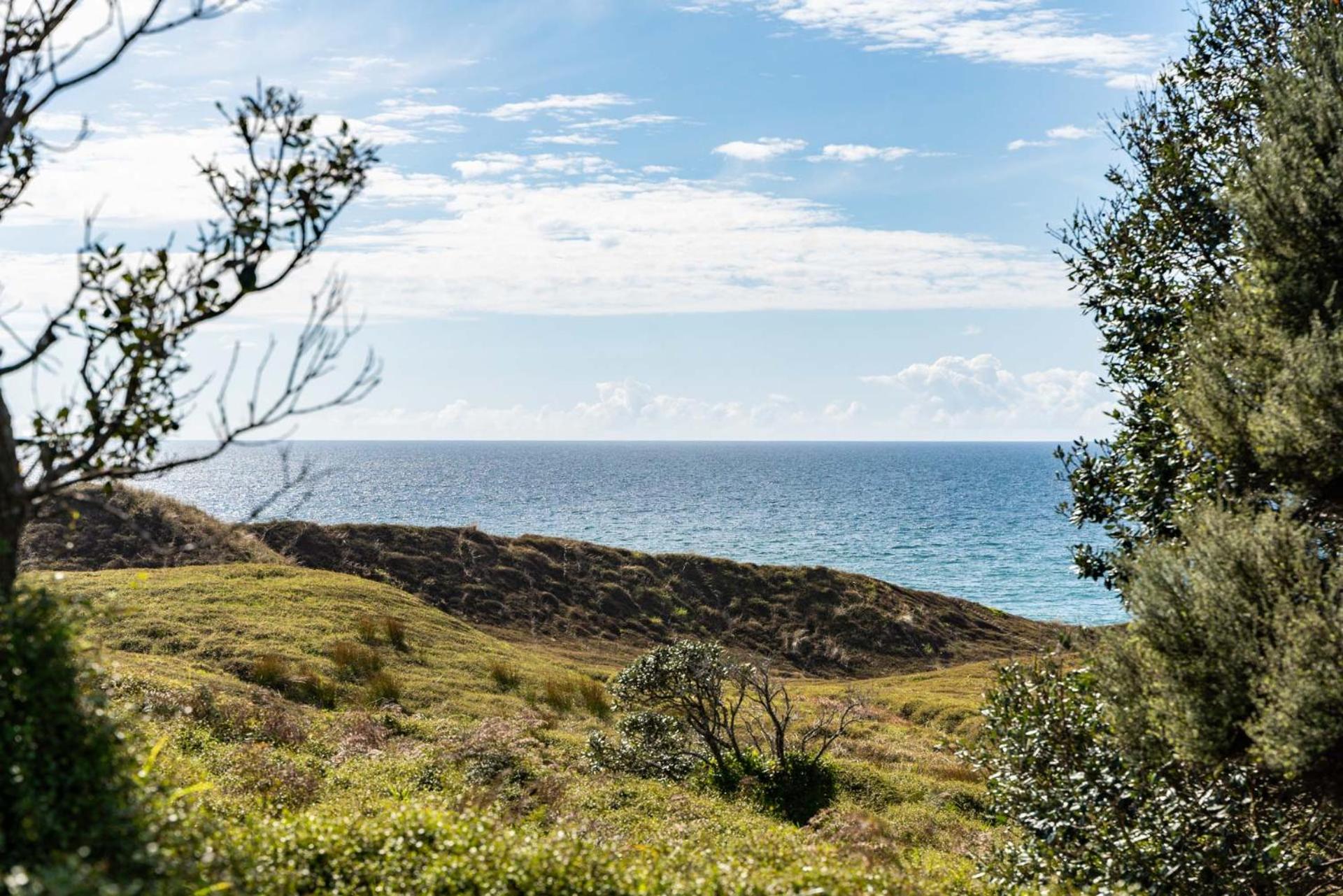 Seaview and Pohutukawa - Pakiri Beach Retreat
