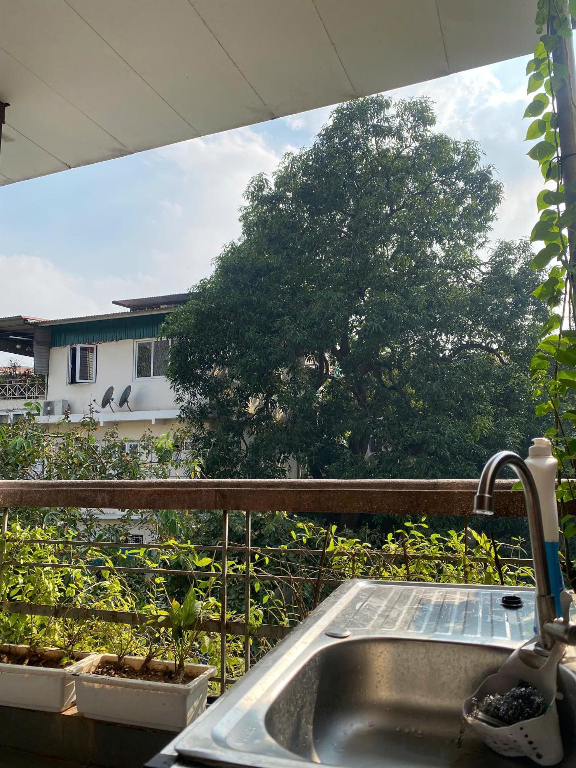 Hanoi New Comb Hostel