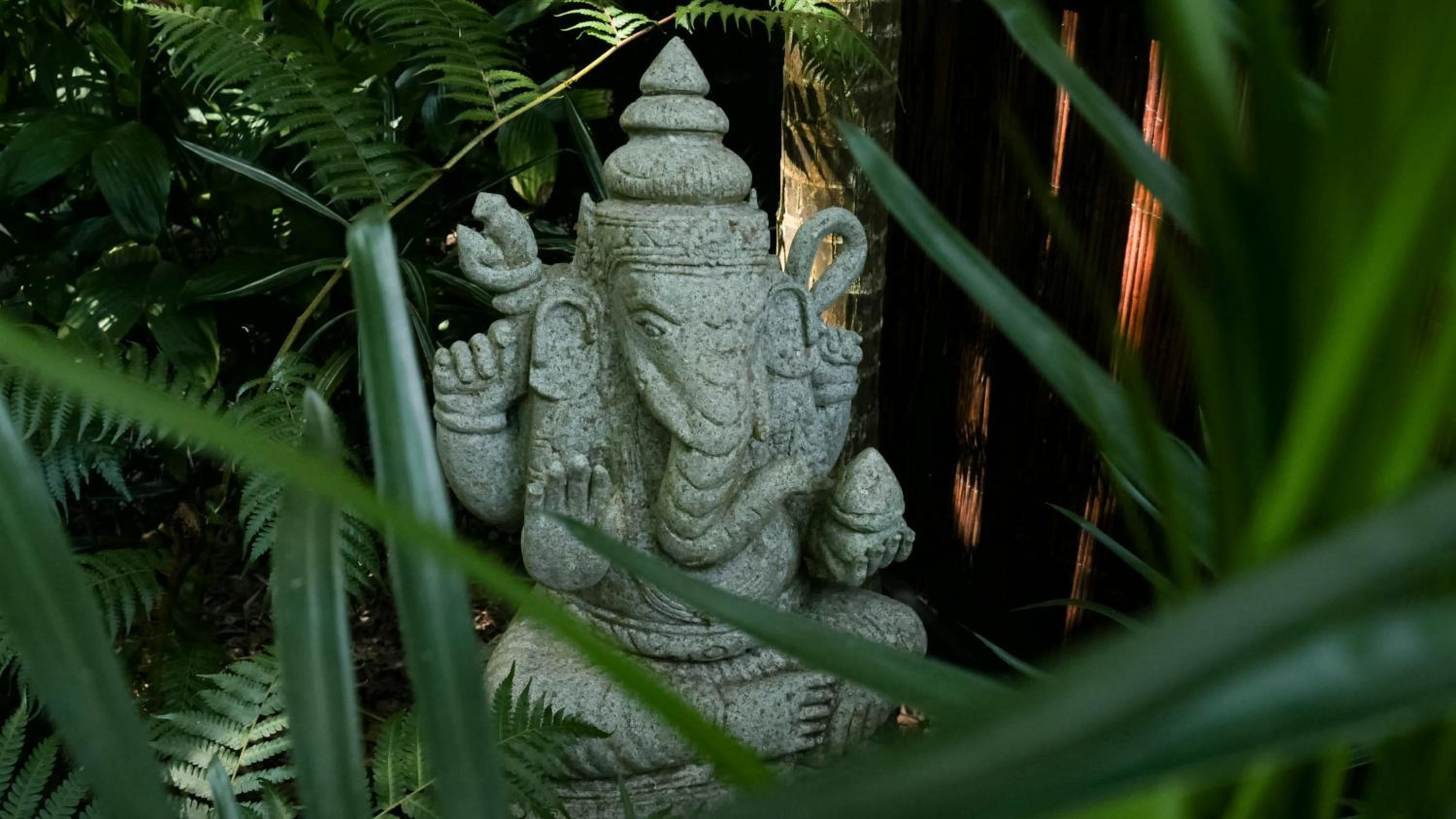 Shambhala @ Byron