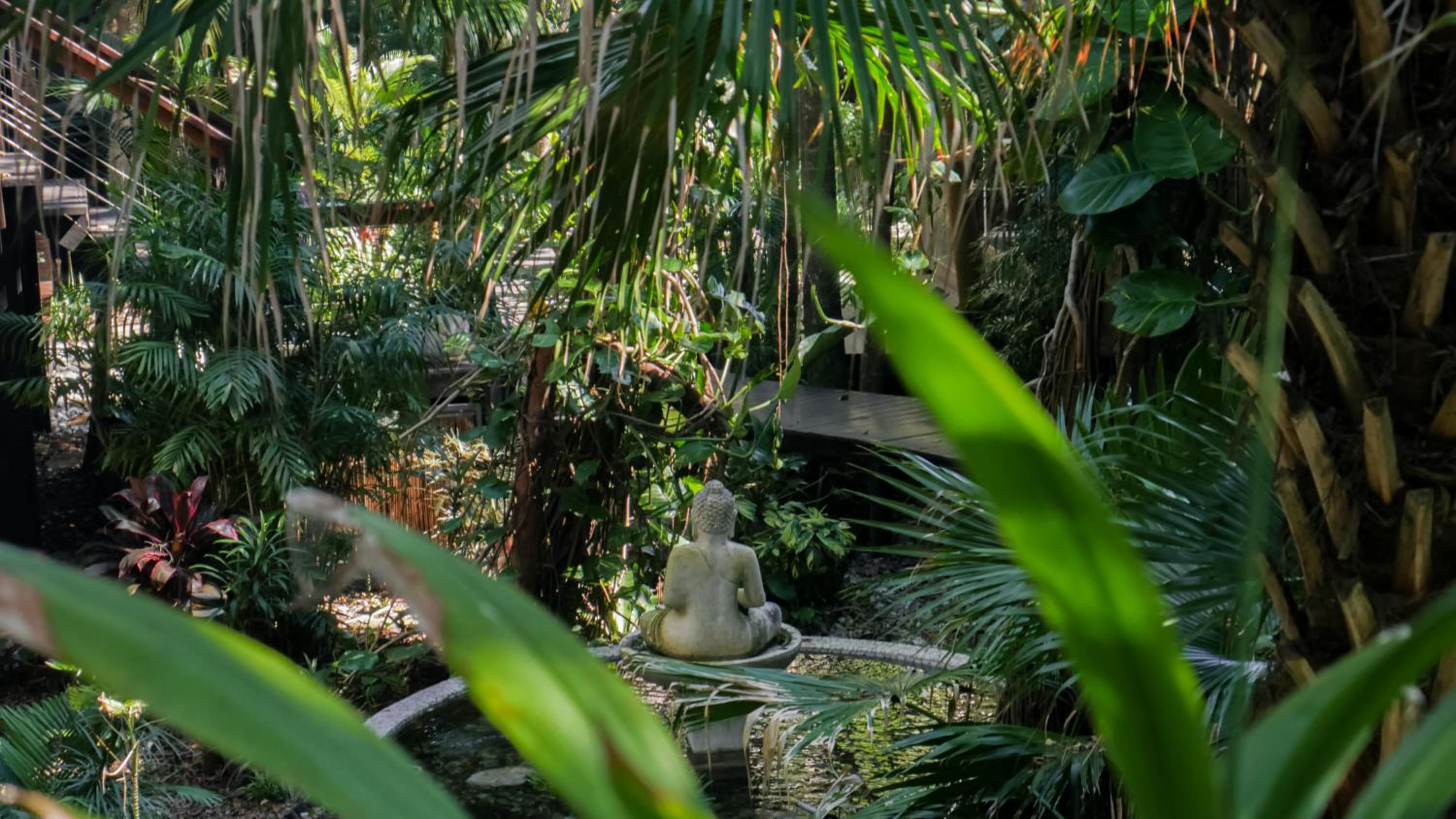 Shambhala @ Byron