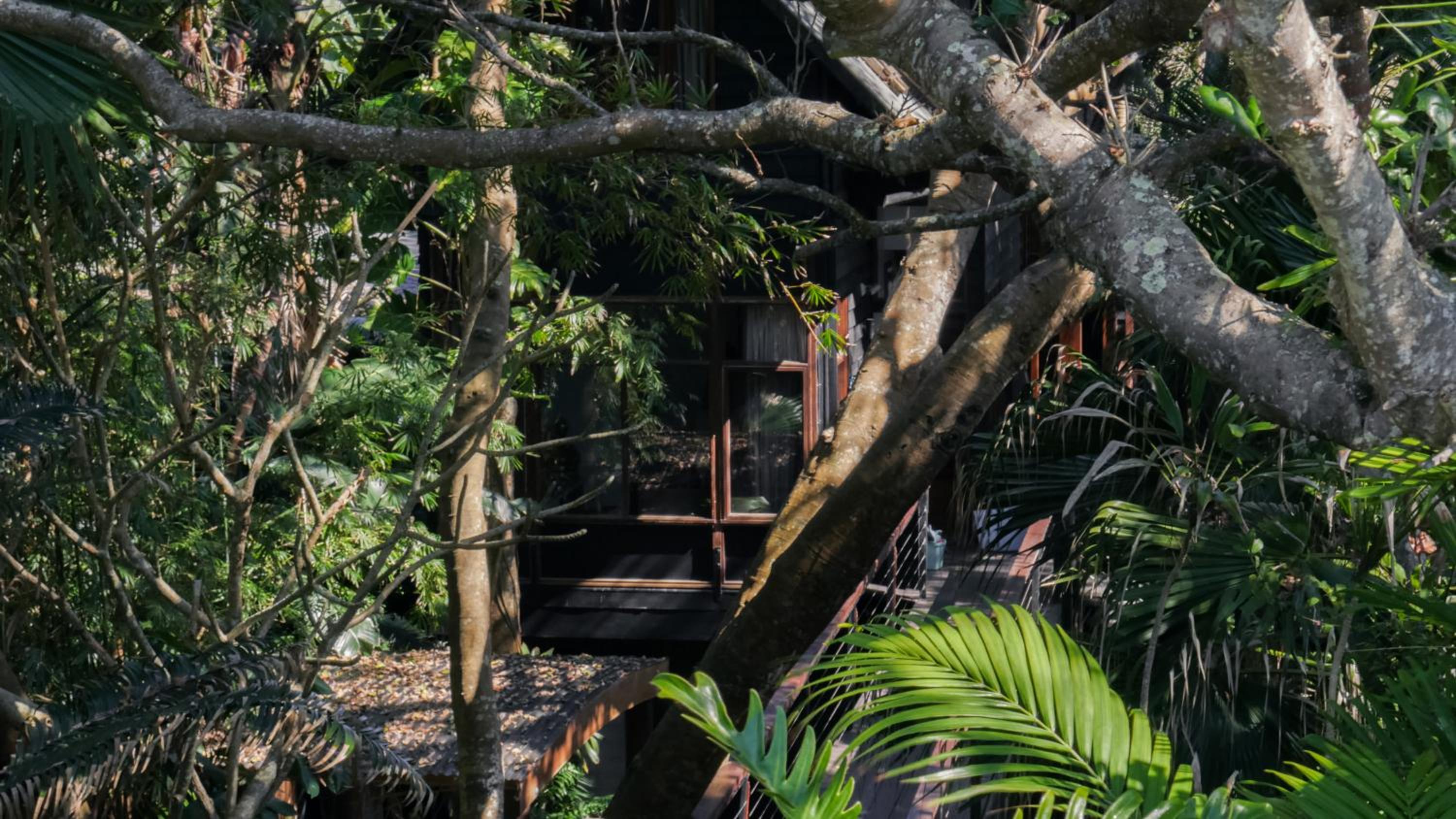 Shambhala @ Byron