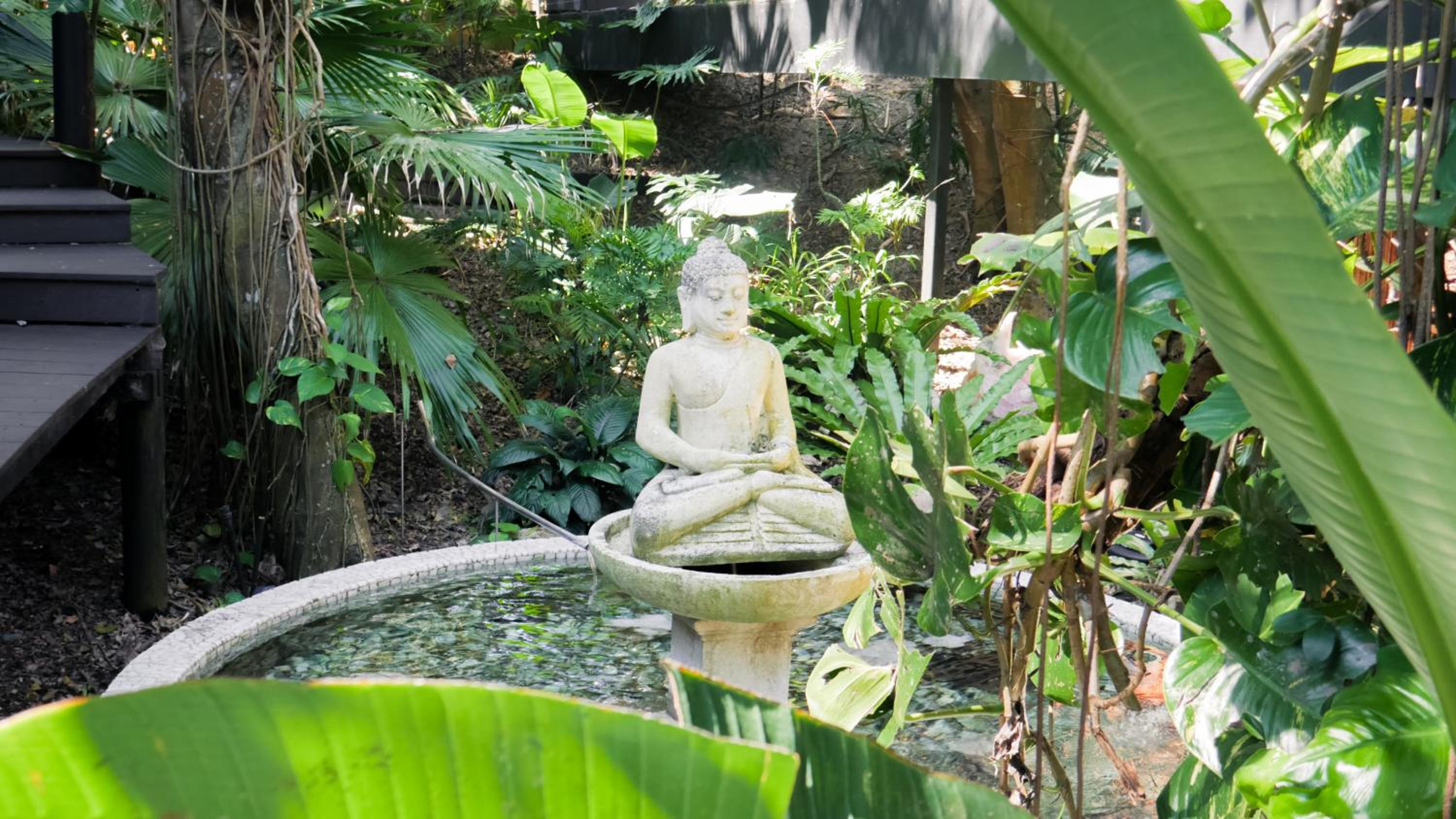 Shambhala @ Byron