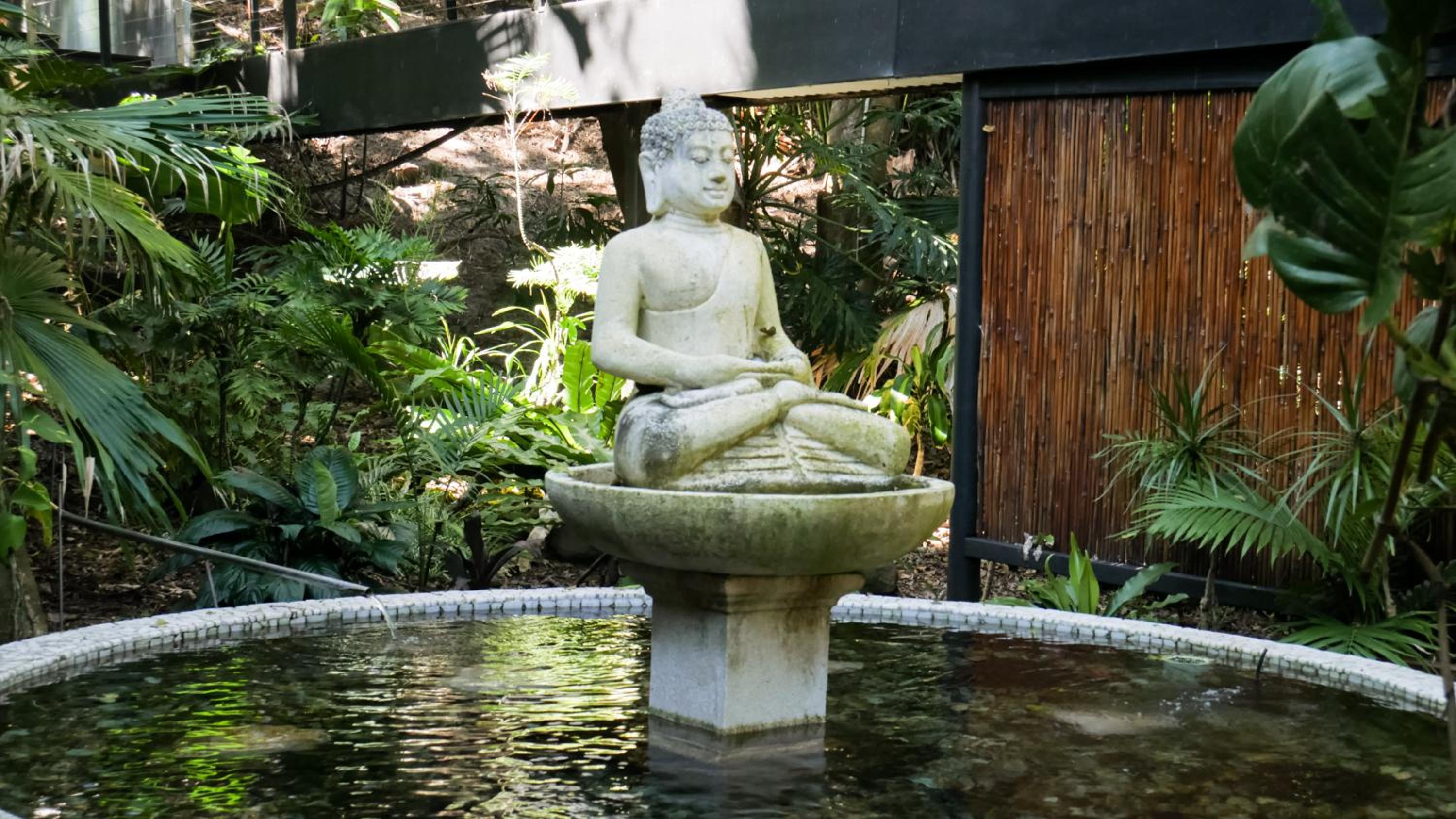 Shambhala @ Byron