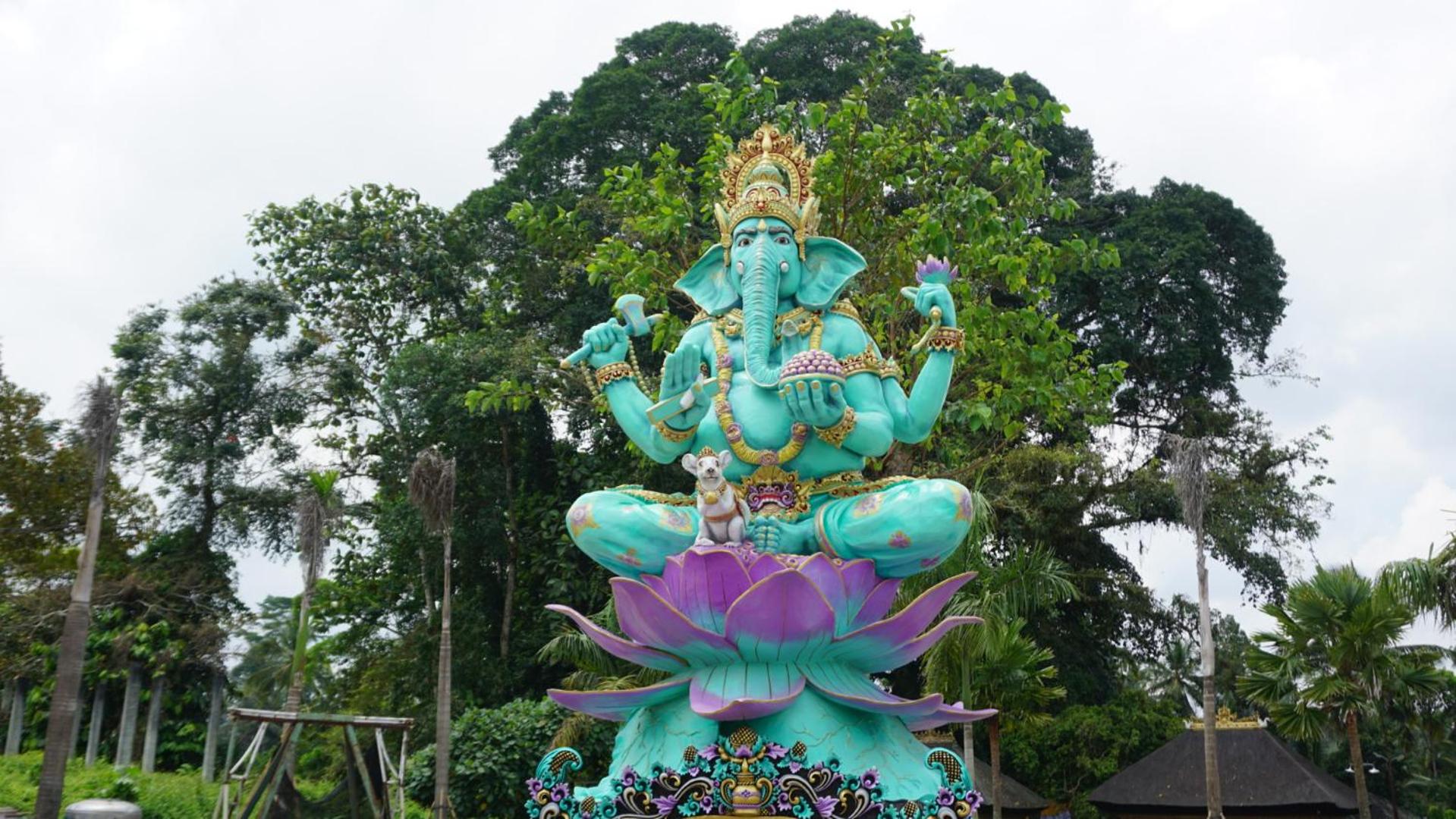 Toya Ubud Ecopark & Waterfall view 3