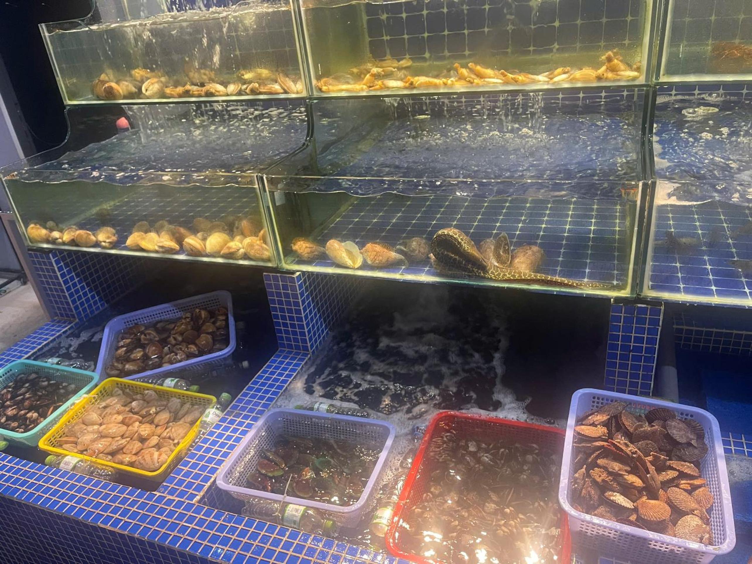 Ocean Beer Homestay